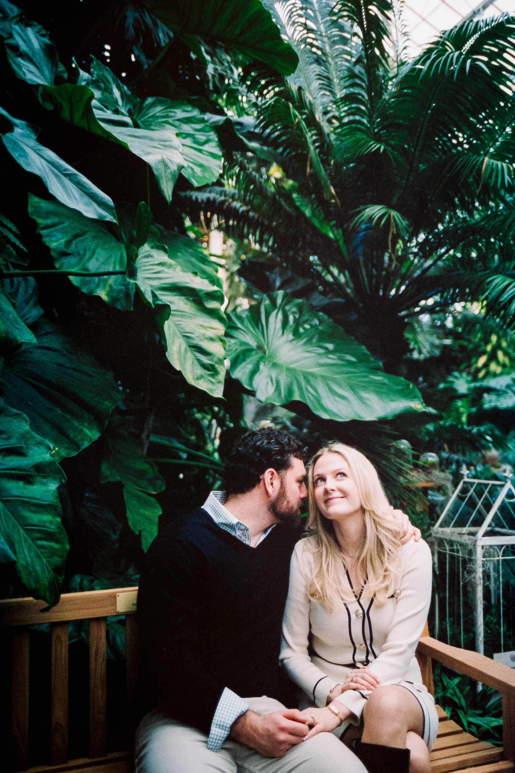 EngagedProposalProposingDanielStoweConservancyBelmontWilliamsonConservatory_ParksPictures