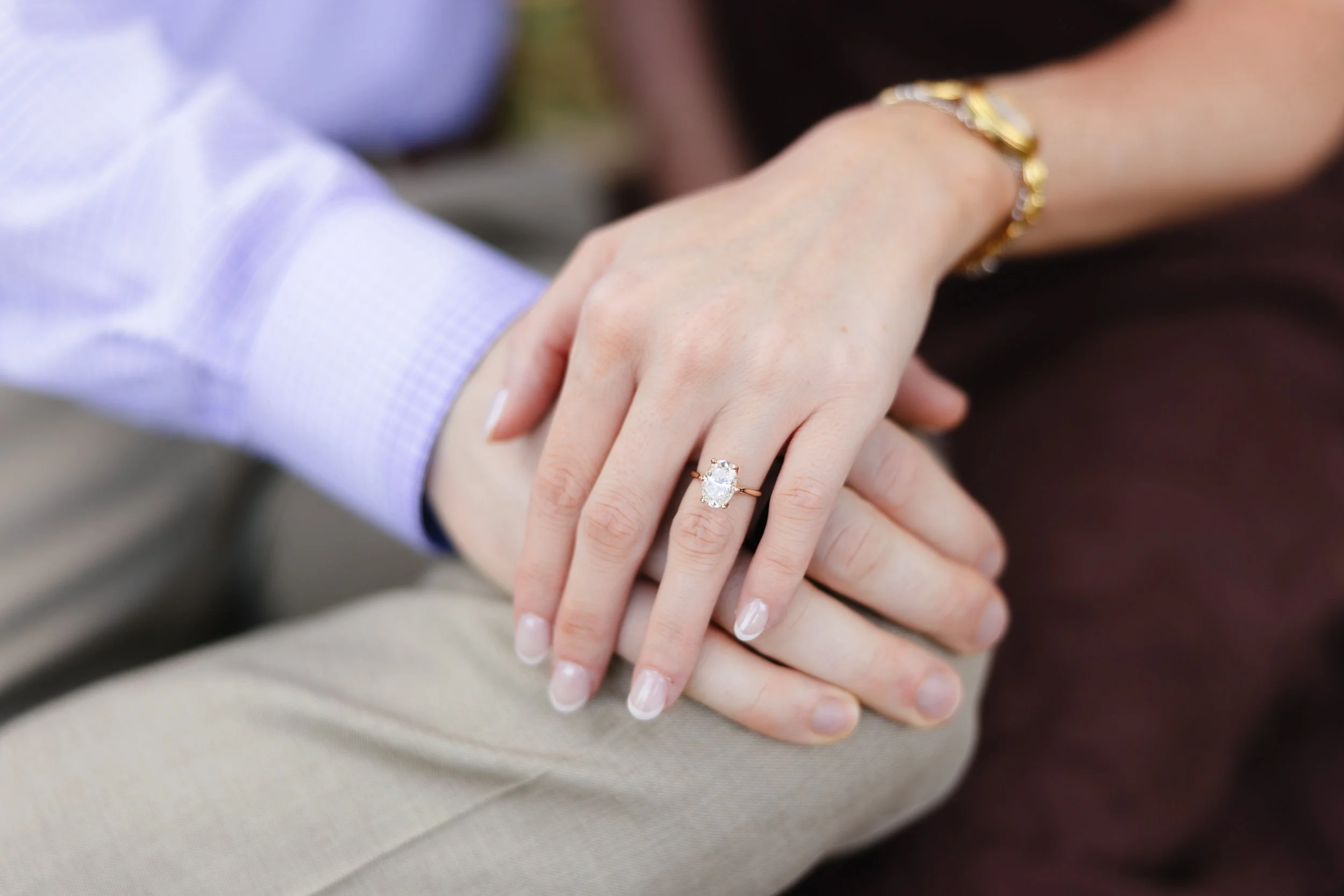 Propose at Daniel Stowe Conservancy by Charlotte Wedding Photographer ParksPictures