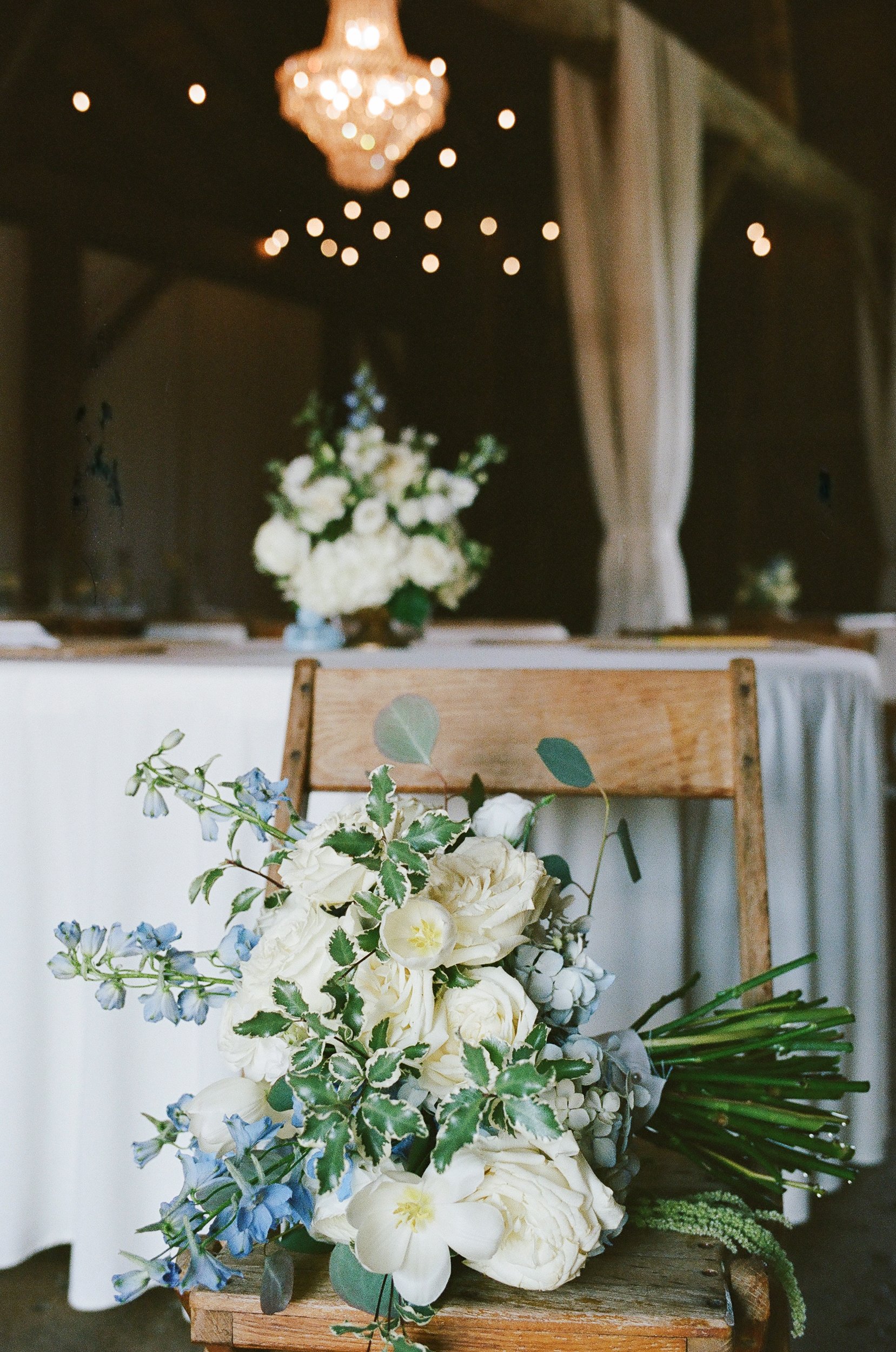 ClemsonAlumniWedding_RobertsonHomesteadRockHillSC_FilmPhotographer_ParksPictures