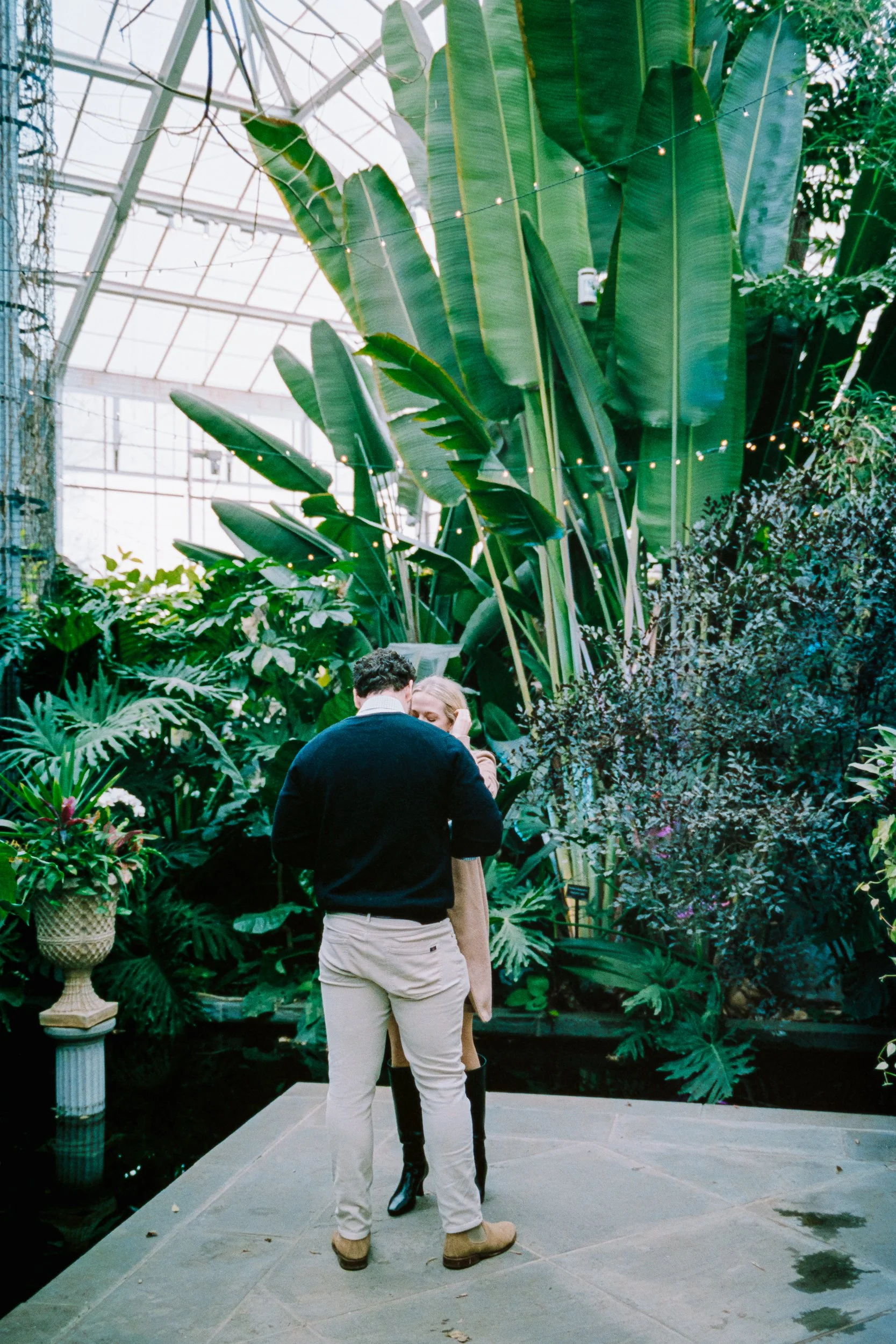 Boyfriend proposing to his girlfriend in a surprise proposal in Williamson Conservatory Daniel Stowe Conservancy reflecting pond in the background after he proposed, on Kodak Portra 400 film by ParksPictures
