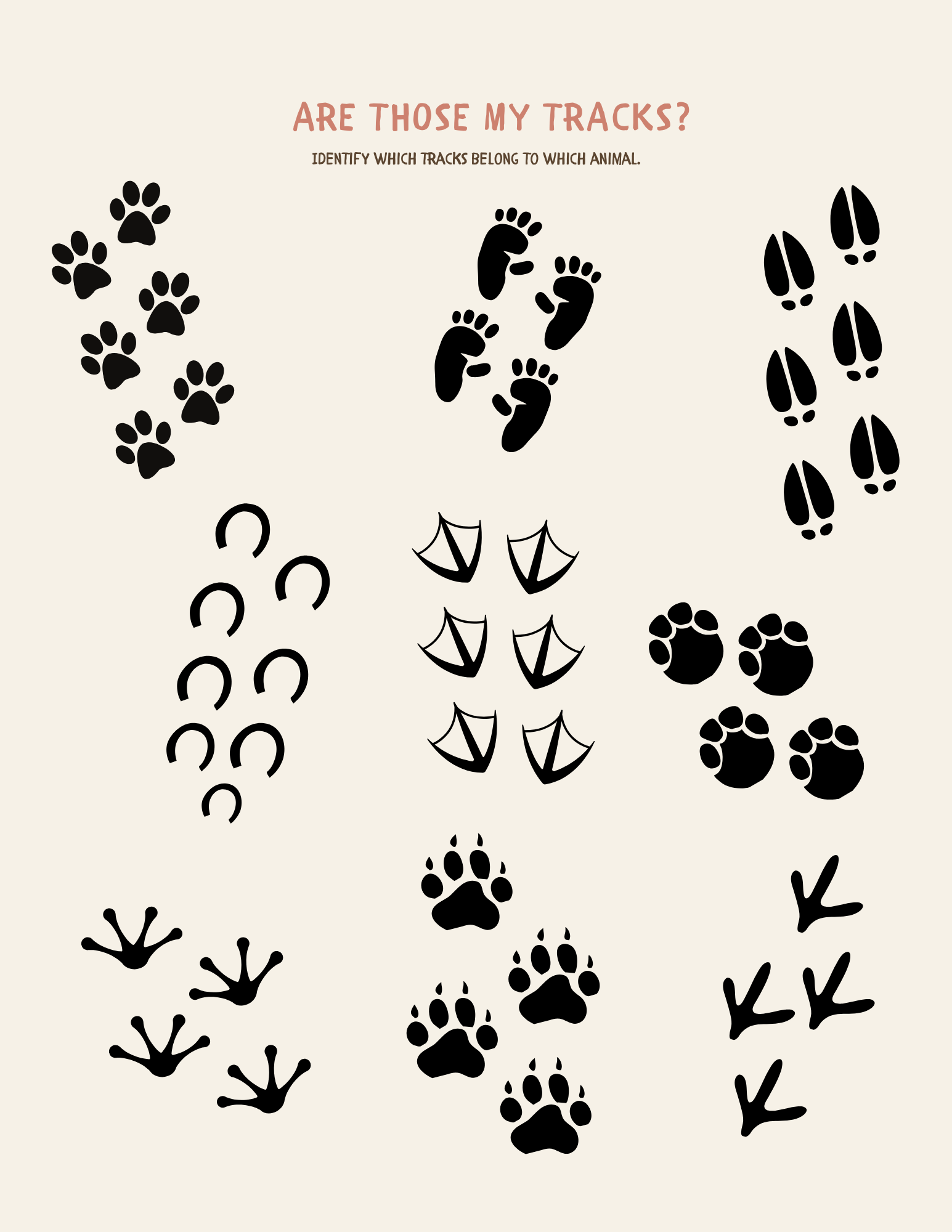 Animal Tracks.png