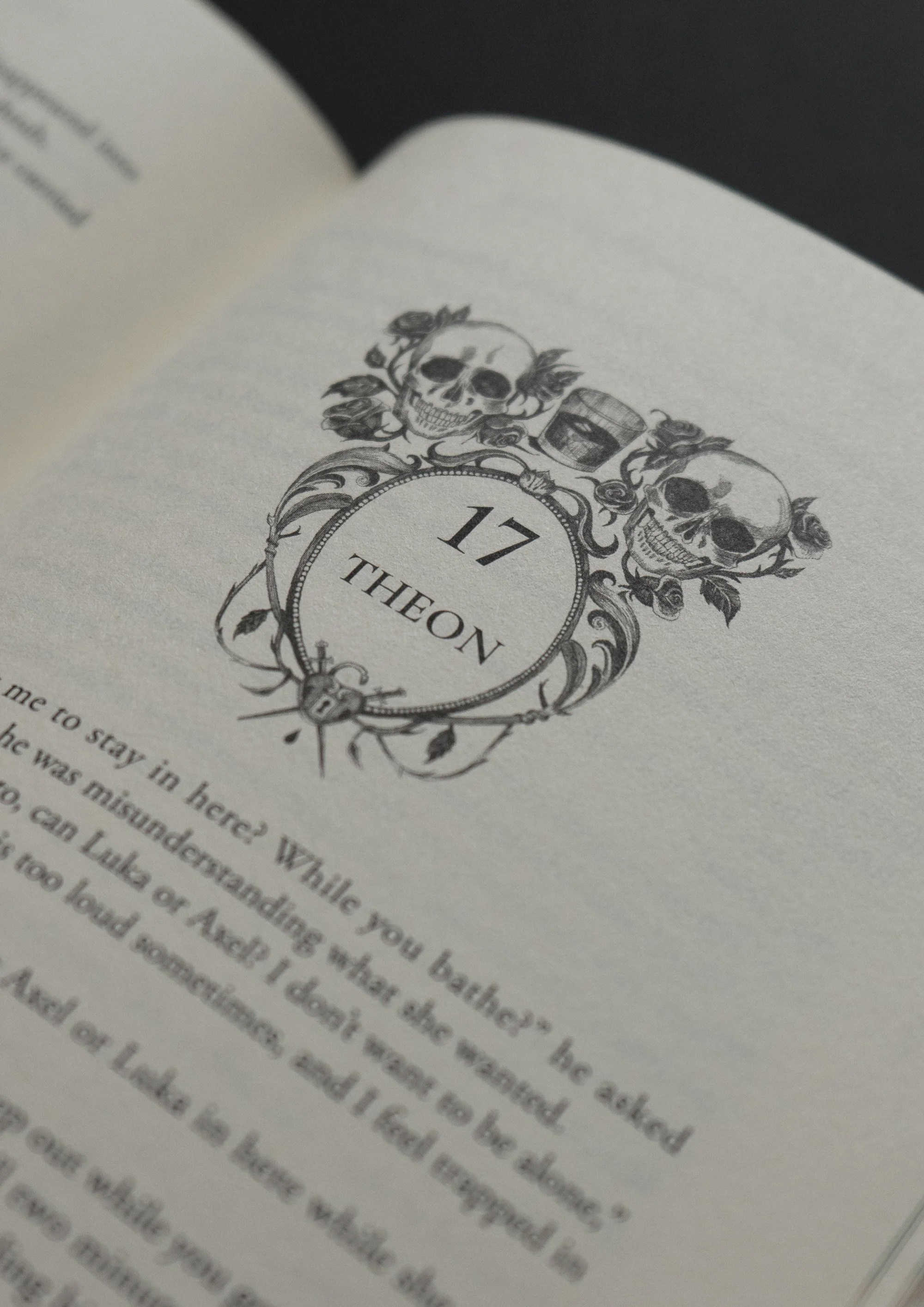 'Rain of Shadows and Endings', by Melissa K. Roehrich, book interior illustrations