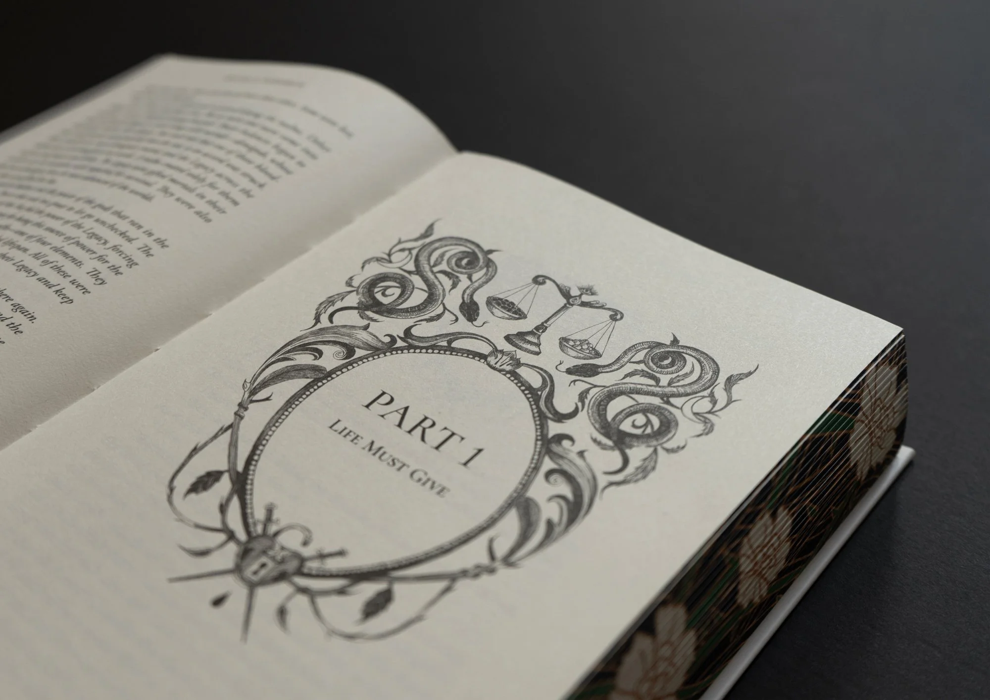'Rain of Shadows and Endings', by Melissa K. Roehrich, book interior illustrations