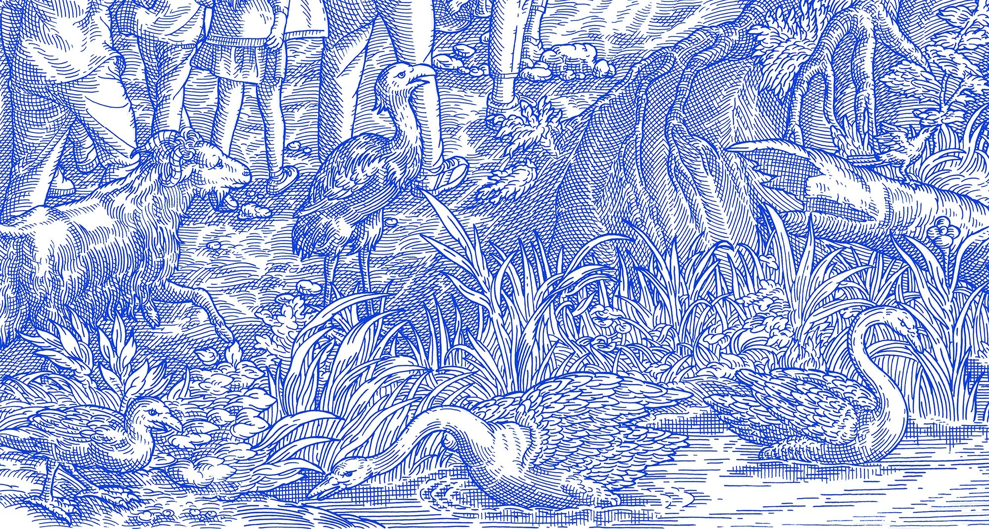 A detailed blue and white illustration of a natural scene featuring various birds, including swans and herons, amidst tall grass, reeds, trees, and rocks.