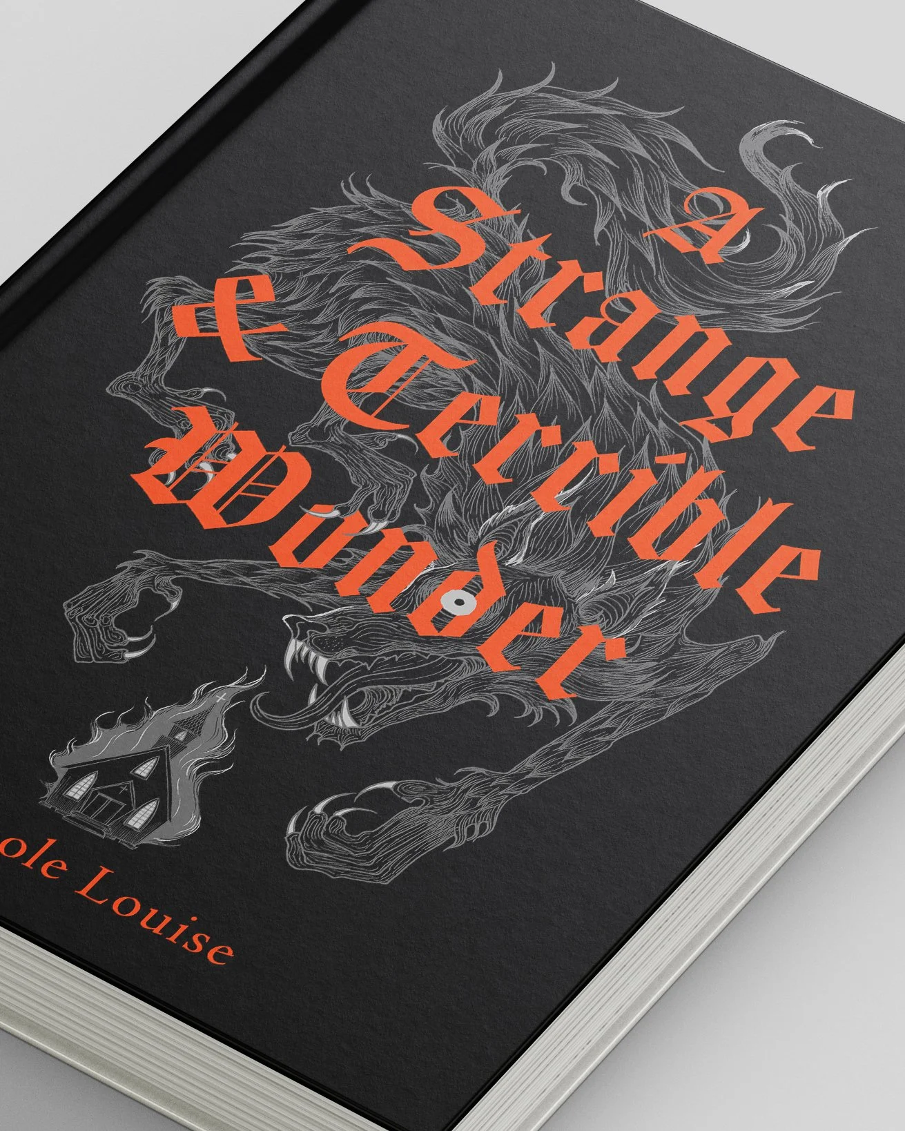 'A Strange & Terrible Wonder' by Nichole Louise, a gothic horror book cover illustration