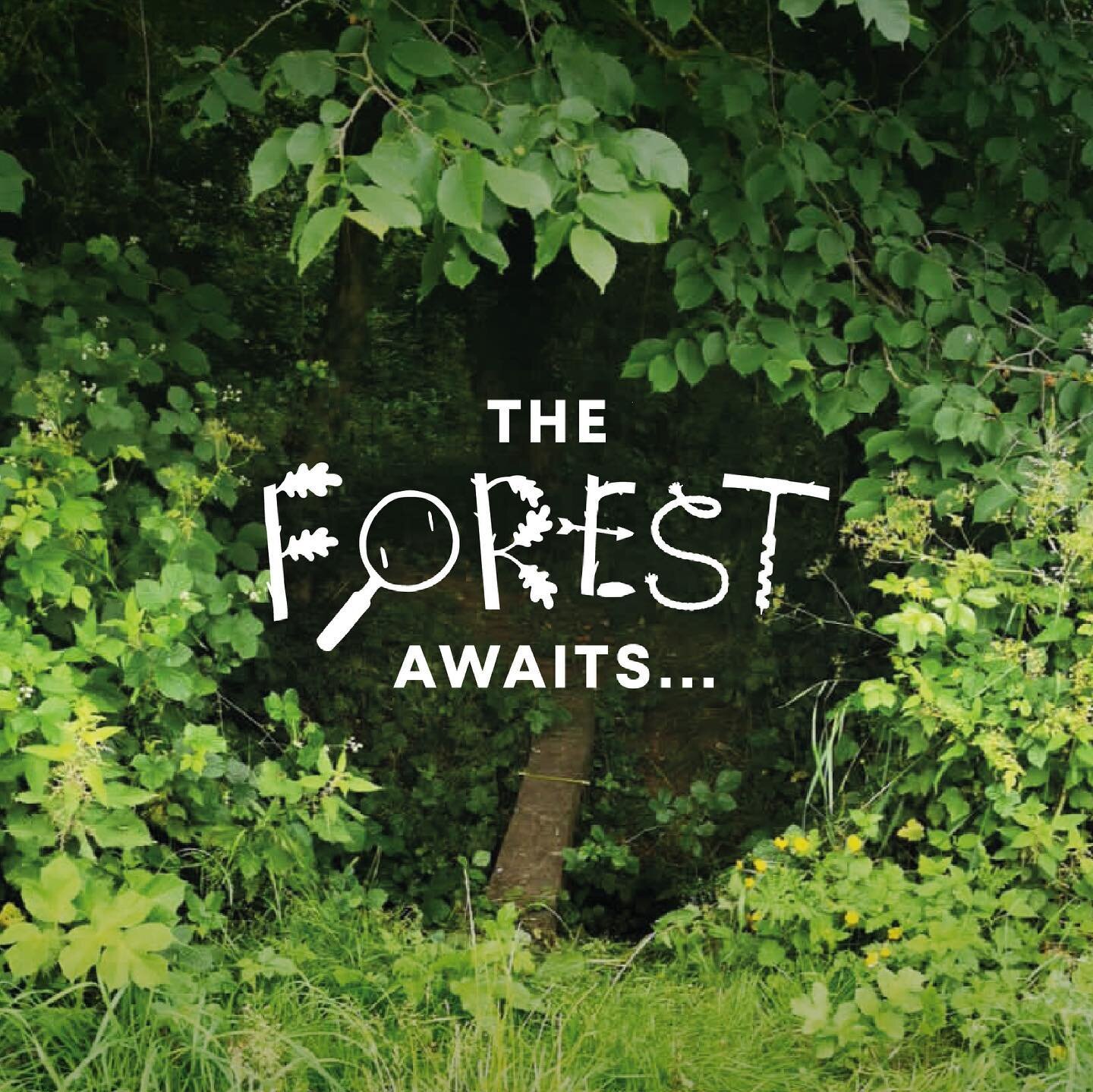 The forest awaits! Our website is LIVE, link in bio 👆🥳🥳🥳 Our holiday clubs for children aged 5-13 are bookable online, and from September we will be running Forest Babies, Pre-School Stay &amp; Play and Home School sessions at our Woodland site i