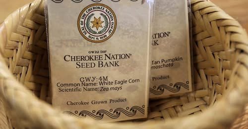 SEED BANK: Applications Open January 13 - February 13