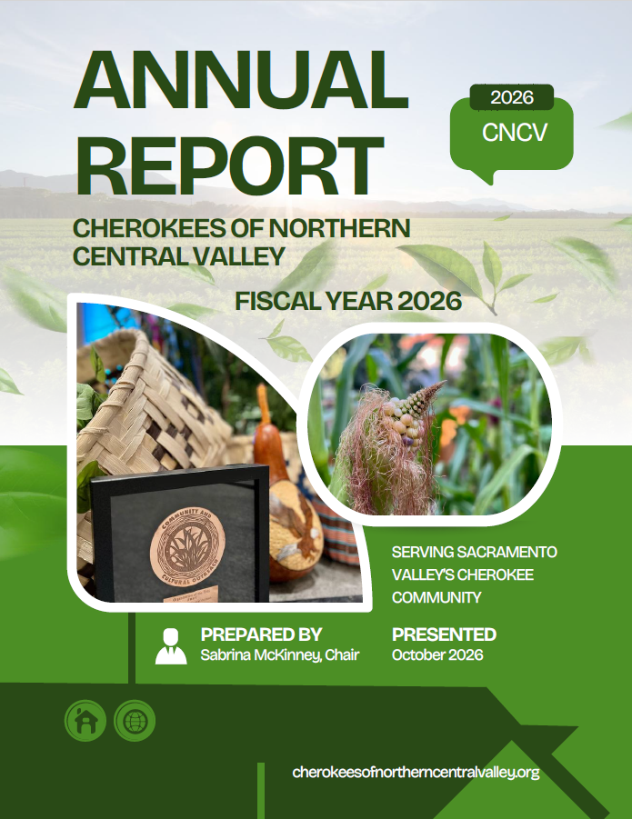 ANNUAL REPORT - 2026