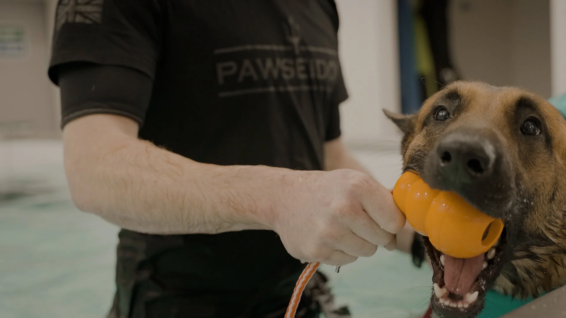 Pawseidon