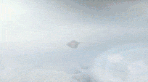2b0b1725-6892-4930-b4bc-fa63275f022d_rw_600.gif