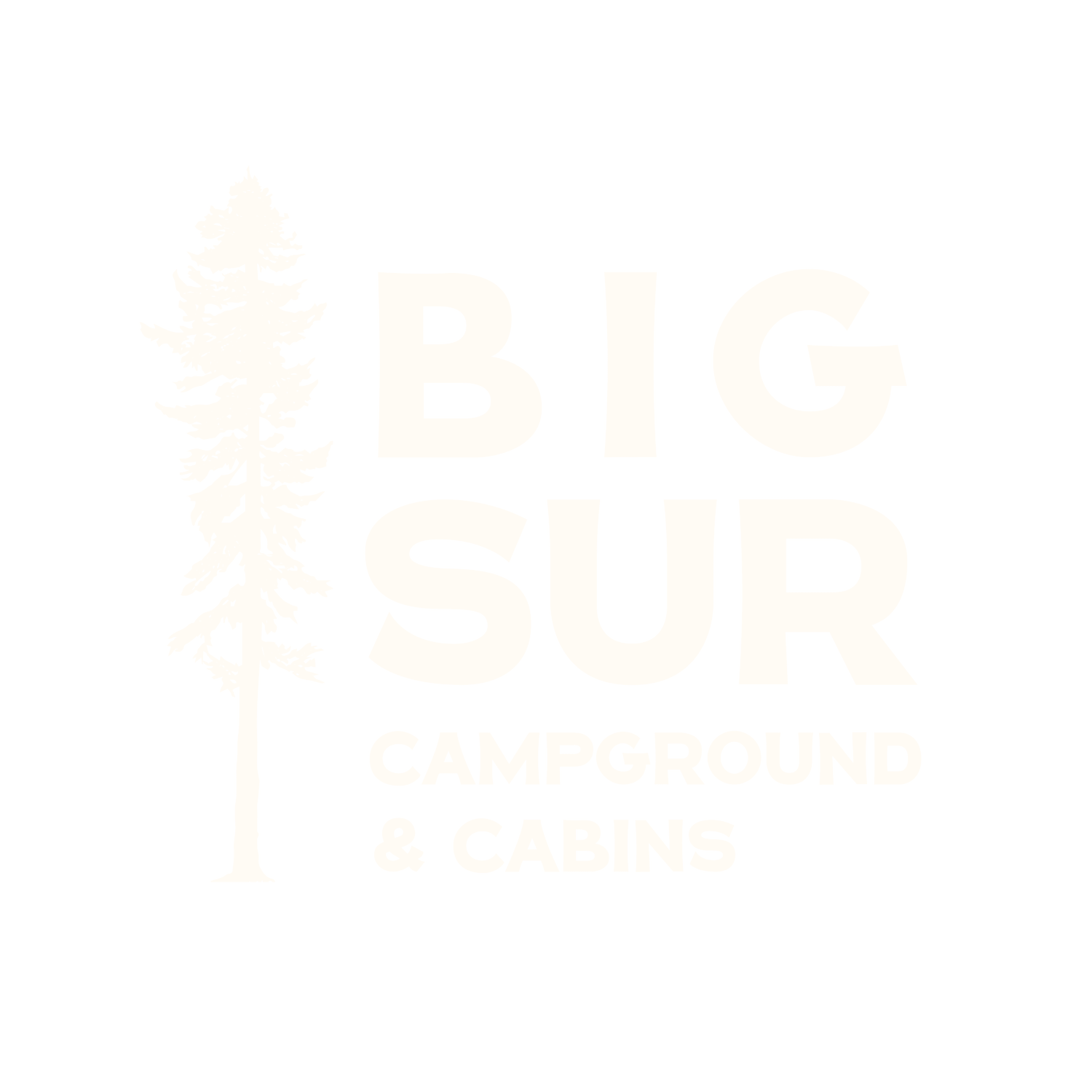 Big Sur Campground & Cabins