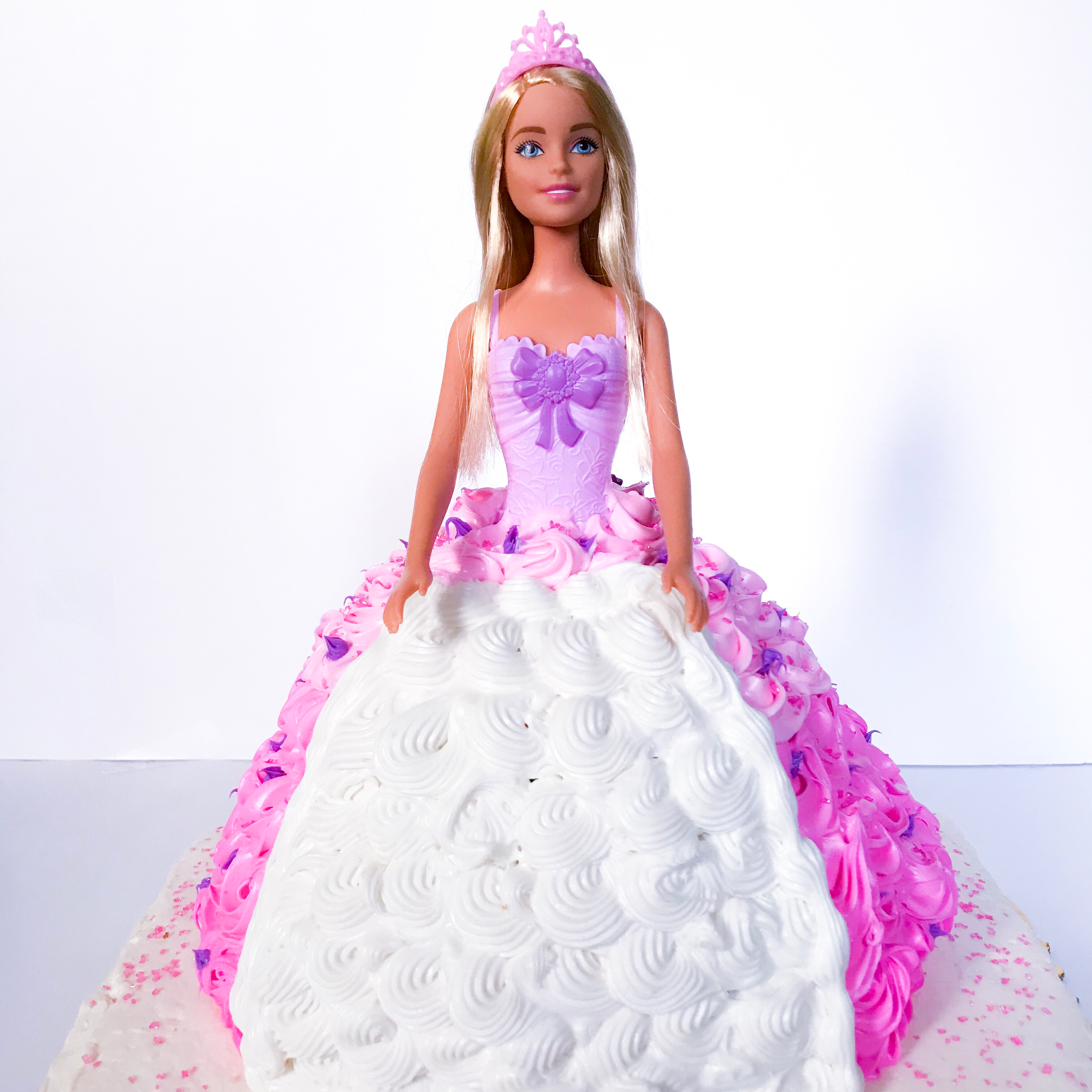 Craftin Nikki - DIY Barbie Cake Barbie Front2.png