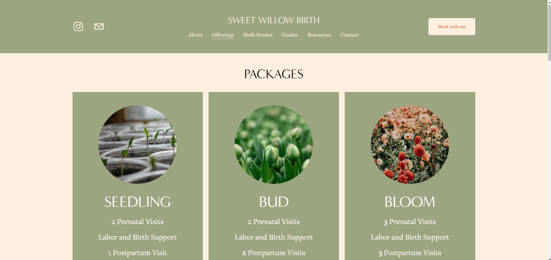 SWB_site screenshot2.png