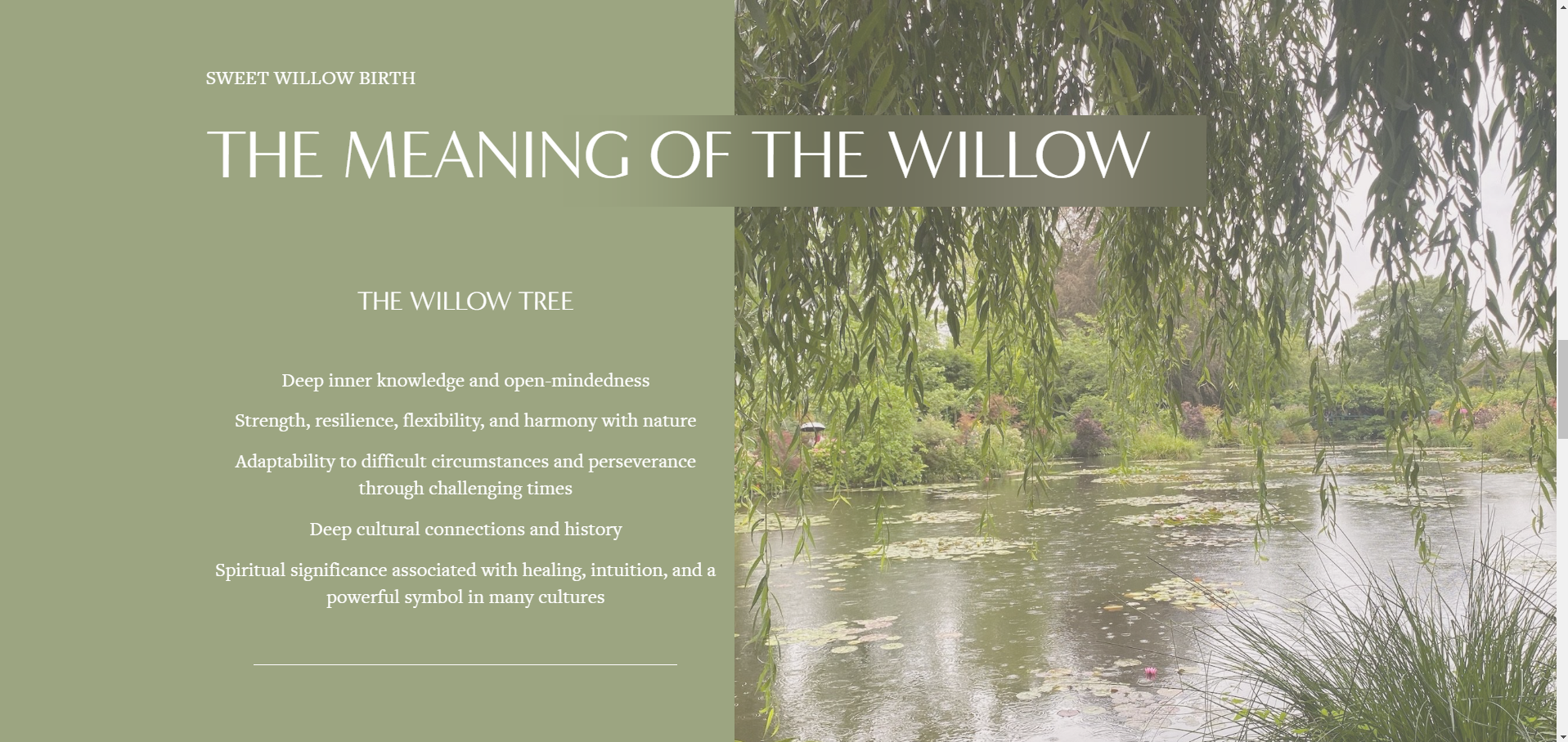 SWB_site screenshot3.png