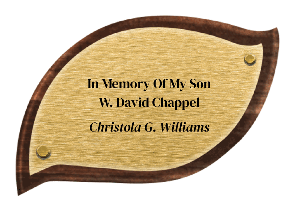 Christola G Williams