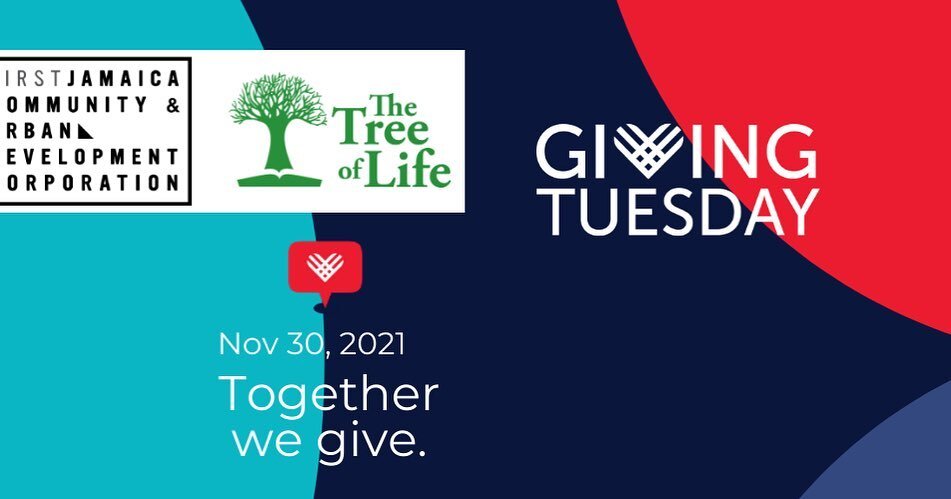 On #GivingTuesday @TreeofLifeFPCJ is hoping you'll become a champion supporting resiliency and self-sufficiency in #Jamaica NY by donating. No gift is too big or too small to change a life. https://fjcudc.networkforgood.com/projects/144771-giving-tue