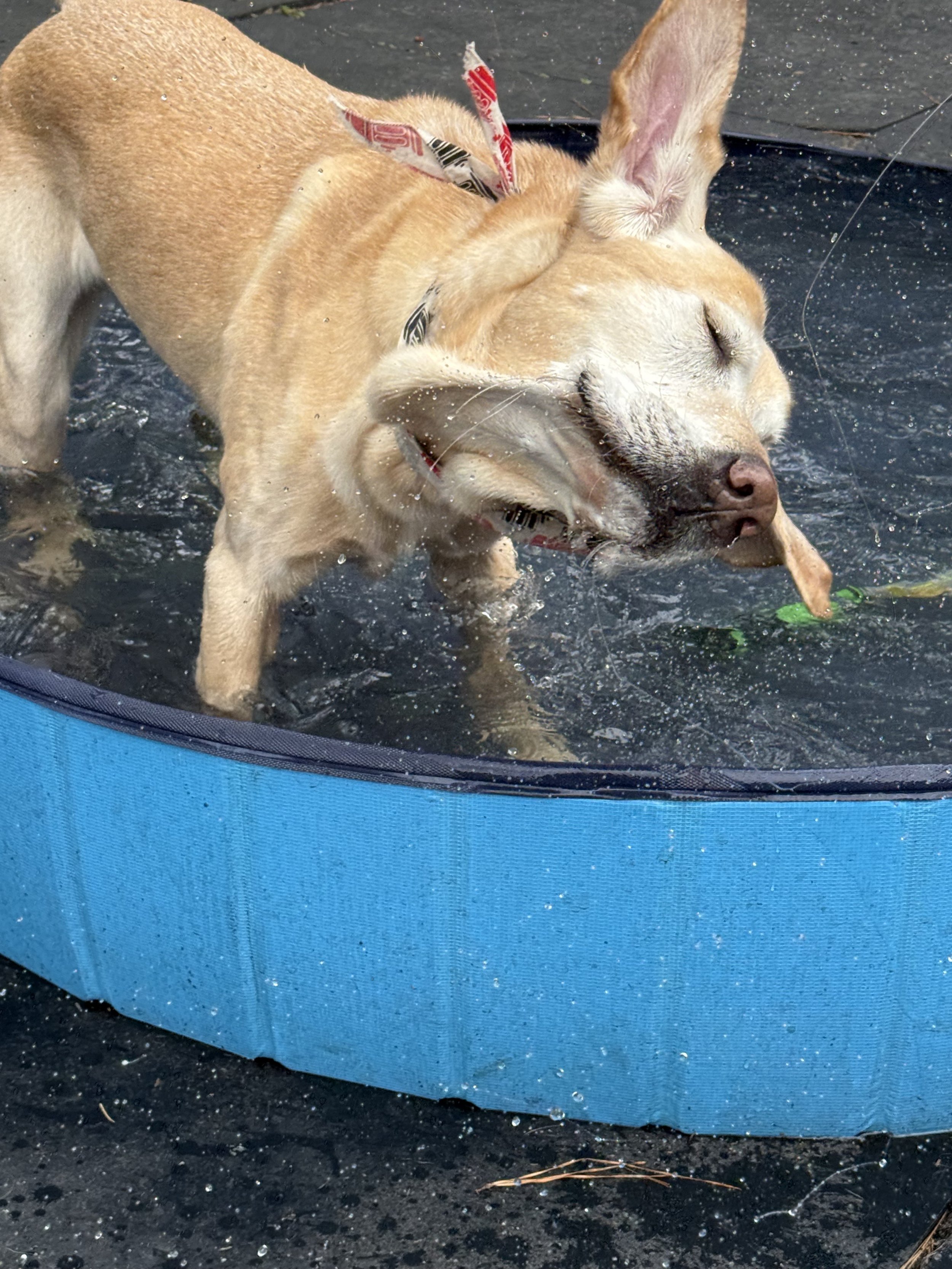 IMG_0546.jpeg