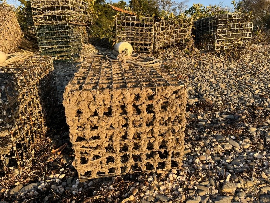 No Decision from CRMC on Seapowet