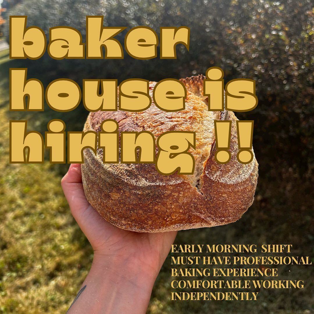 our team is expanding!! looking for a new team member passionate about pastry &amp; sourdough bread, comfortable starting nice n early and has a good attitude! email your resumes to hello@bakerhousebread.com and share this with any bakers who might f
