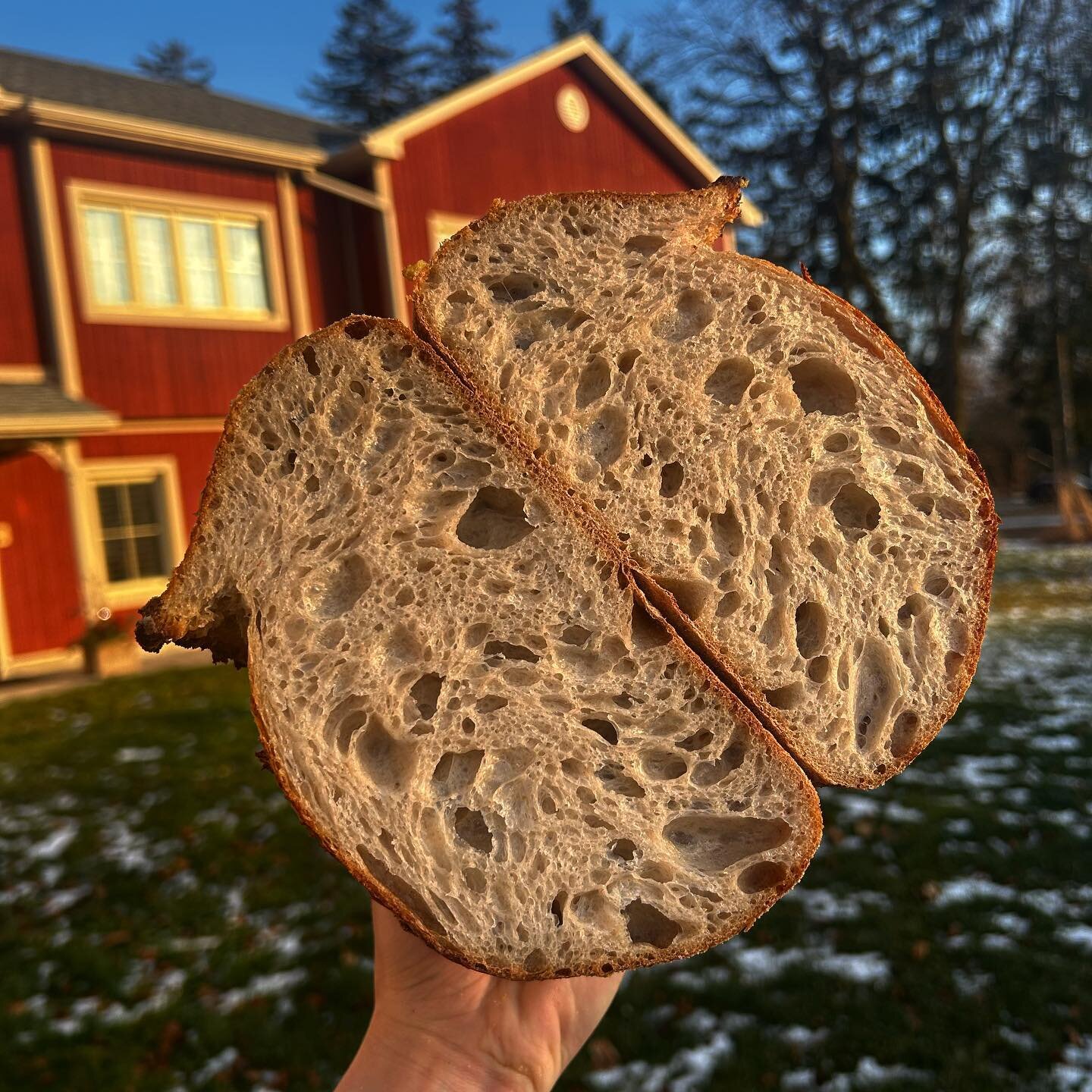 the almighty farmers sourdough 👑 looking pretty in this golden hour 

50% whole wheat 
5% rye 
45% sifted wheat 

slice it up, toast it, make a sandwich, eat it with some soup, rip a loaf in half it&rsquo;s up to you! perfect for literally anything 