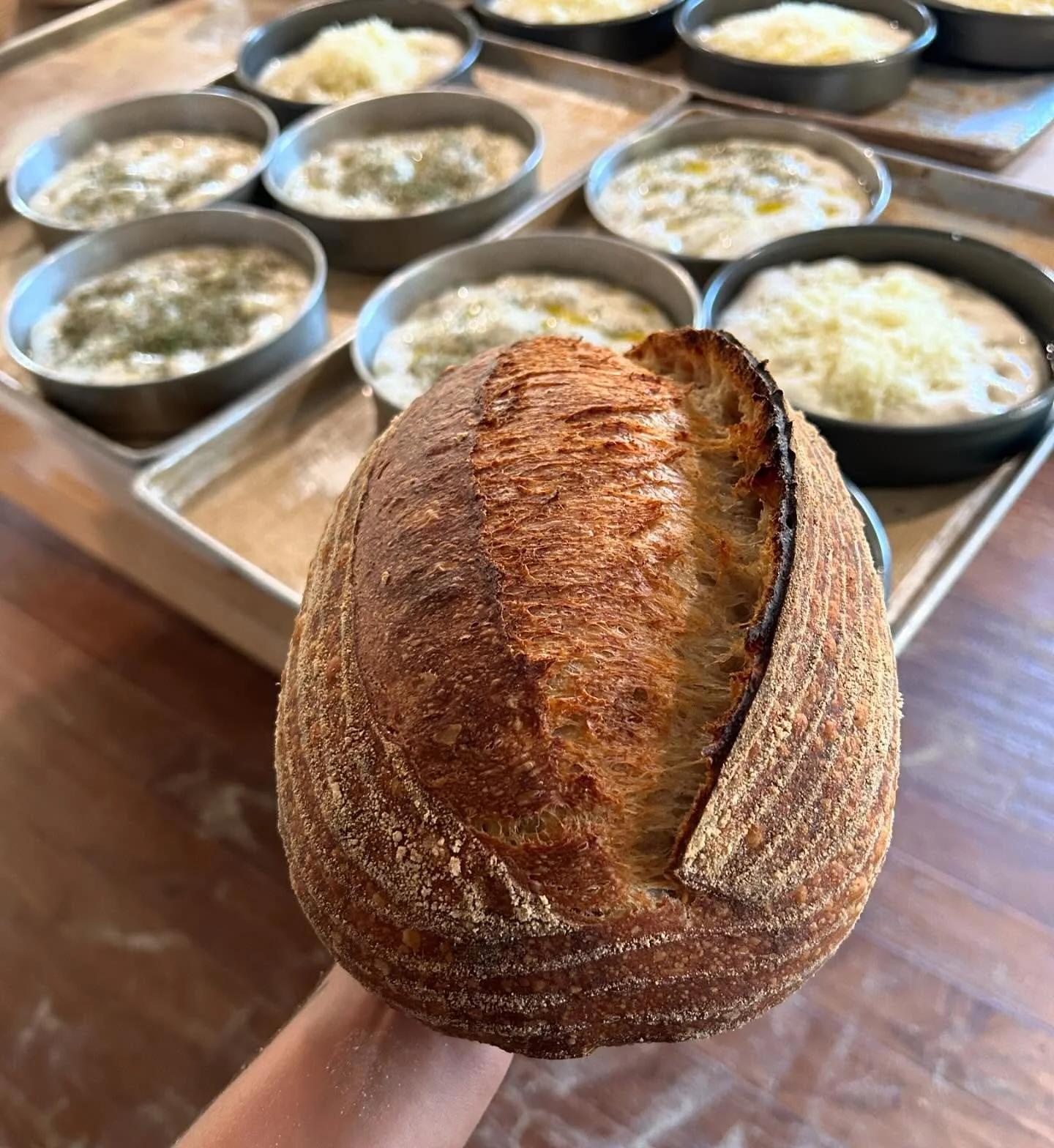 we&rsquo;re back in action tomorrow at 10am 🌞
come by, say hi and grab your sourdough !! can&rsquo;t wait to see you all 🌾