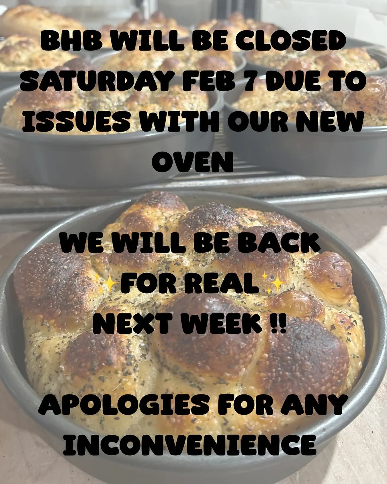 hi everyone!! i know this is soso frustrating being on and off again. thank you to everyone who came out today - i hope you were able to get what you wanted!! 
i just need to work with my ✨new✨ oven over the next couple of days so that we can run ser