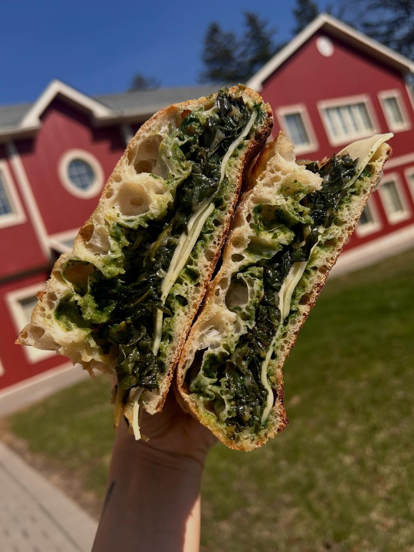 spring has sprung! we got some new sandwiches on the menu this week 🌞
verde veggie - dandelion, kale, confit garlic &amp;onion, basil pesto, provolone 
principessa- prosciutto cotto, fig, arugula, provolone 

available thursday through saturday star