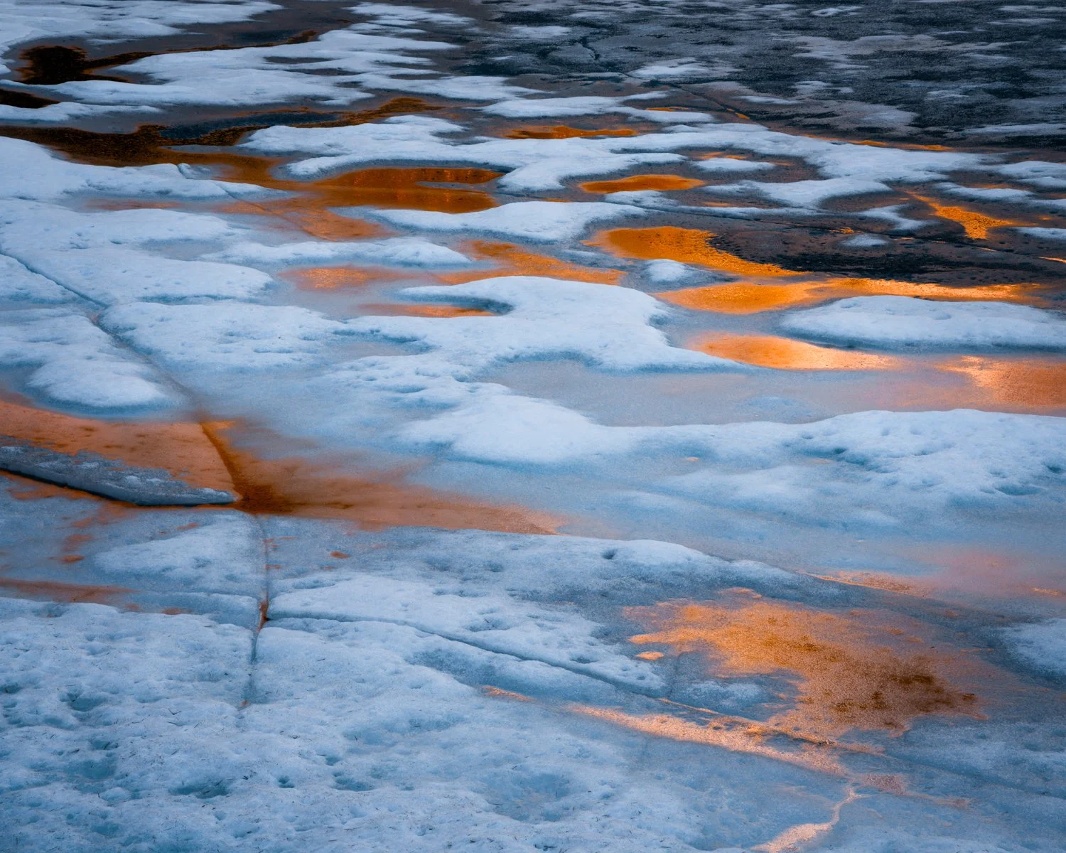 deer lake-2.jpg