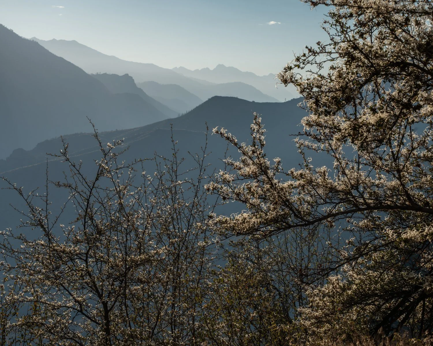 kings canyon.jpg