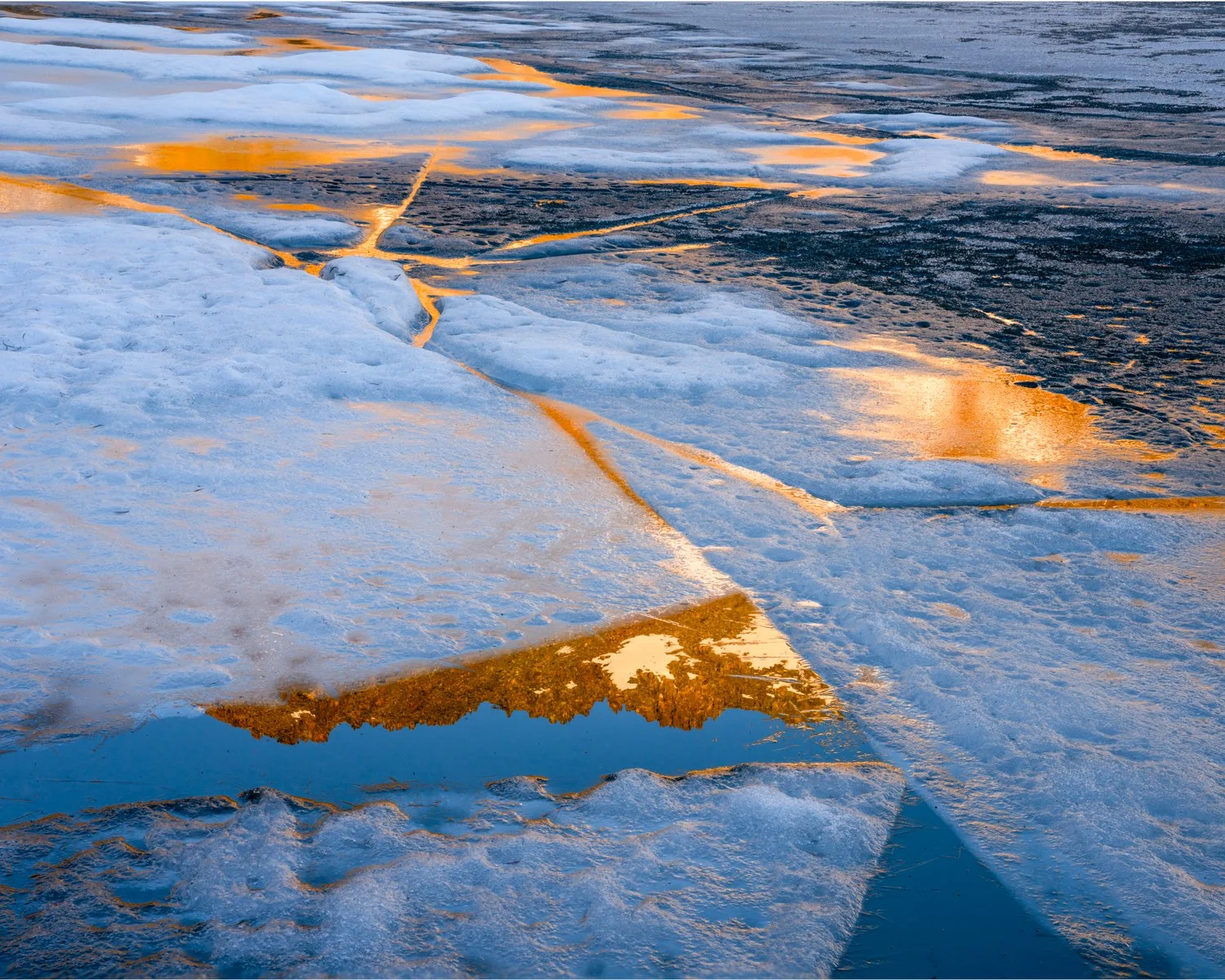 deer lake-1.jpg