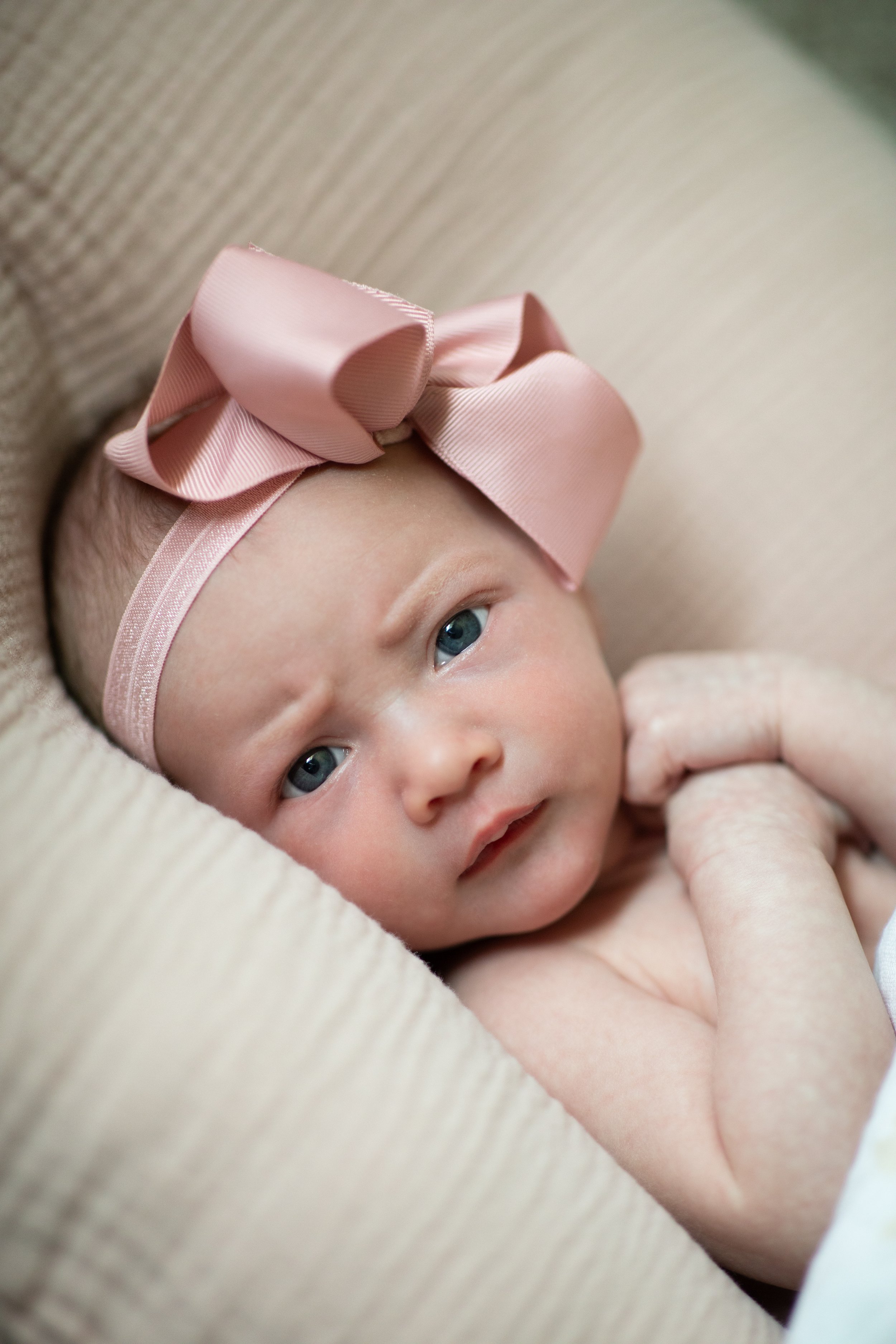 Boise Newborn Photographer