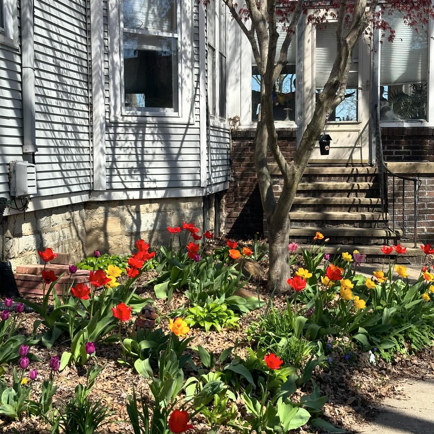 Doing some gardening to focus the mind during our weekend retreat #zen #buddhism #samu #sotozen #pickusottawail