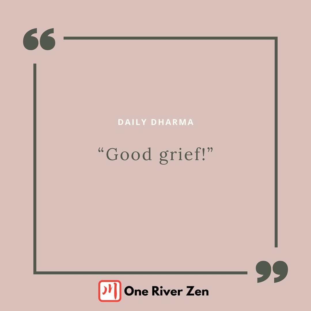 We’ve all heard the expression “Good grief!”—usually blurted out when something minor goes wrong. But real grief is anything but trivial. Just taste even a drop of it, and you’ll understand.
We may feel tempted to bypas