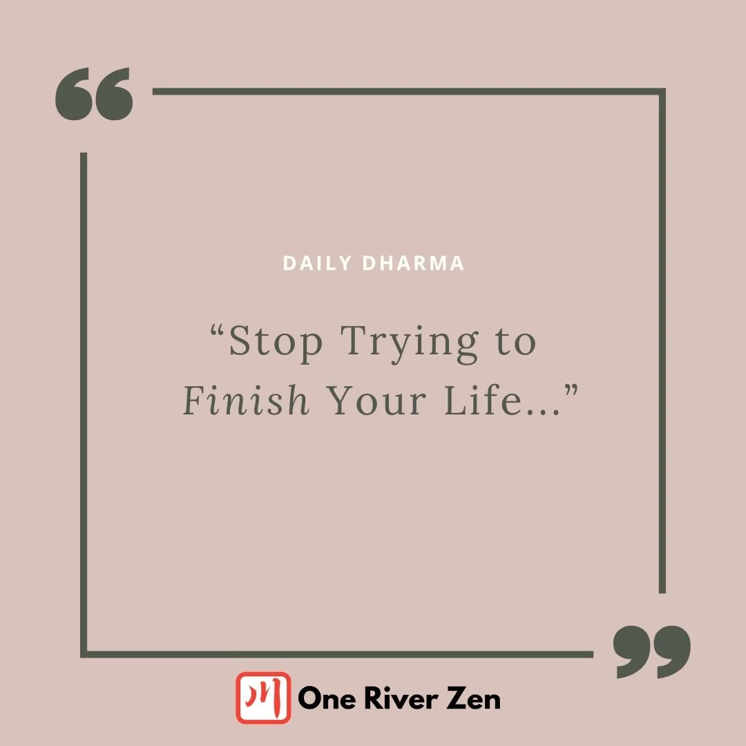 STOP TRYING TO FINISH YOUR LIFE

Our grasping mind is always looking for a state of completion, for a state of perfection. But until we recognize that completion lies in our comfort with what is incomplete, and that perfection lies in our willingness