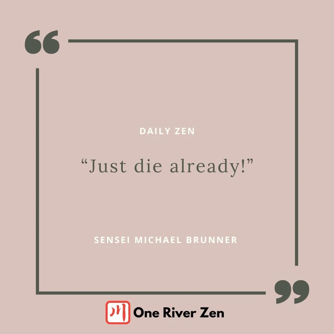 JUST DIE ALREADY

As we sit here on the dawn of a beautiful new week, take a moment to reflect on the power you already have at your command: 
The power to give life to what feels dead. The power to offer happiness and compassion. And, just as import