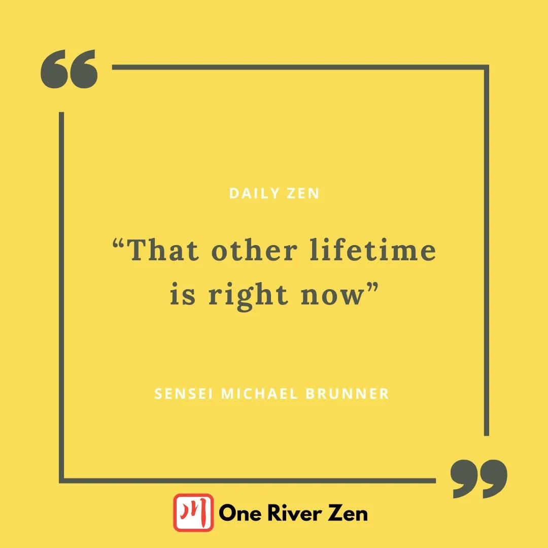 THAT OTHER LIFETIME IS RIGHT NOW

If we&rsquo;re honest with ourselves and we look at our practice, we&rsquo;ll see that a lot gets left undone simply because it seems hard.

Sometimes we won&rsquo;t even set intentions that reflect how we really wan