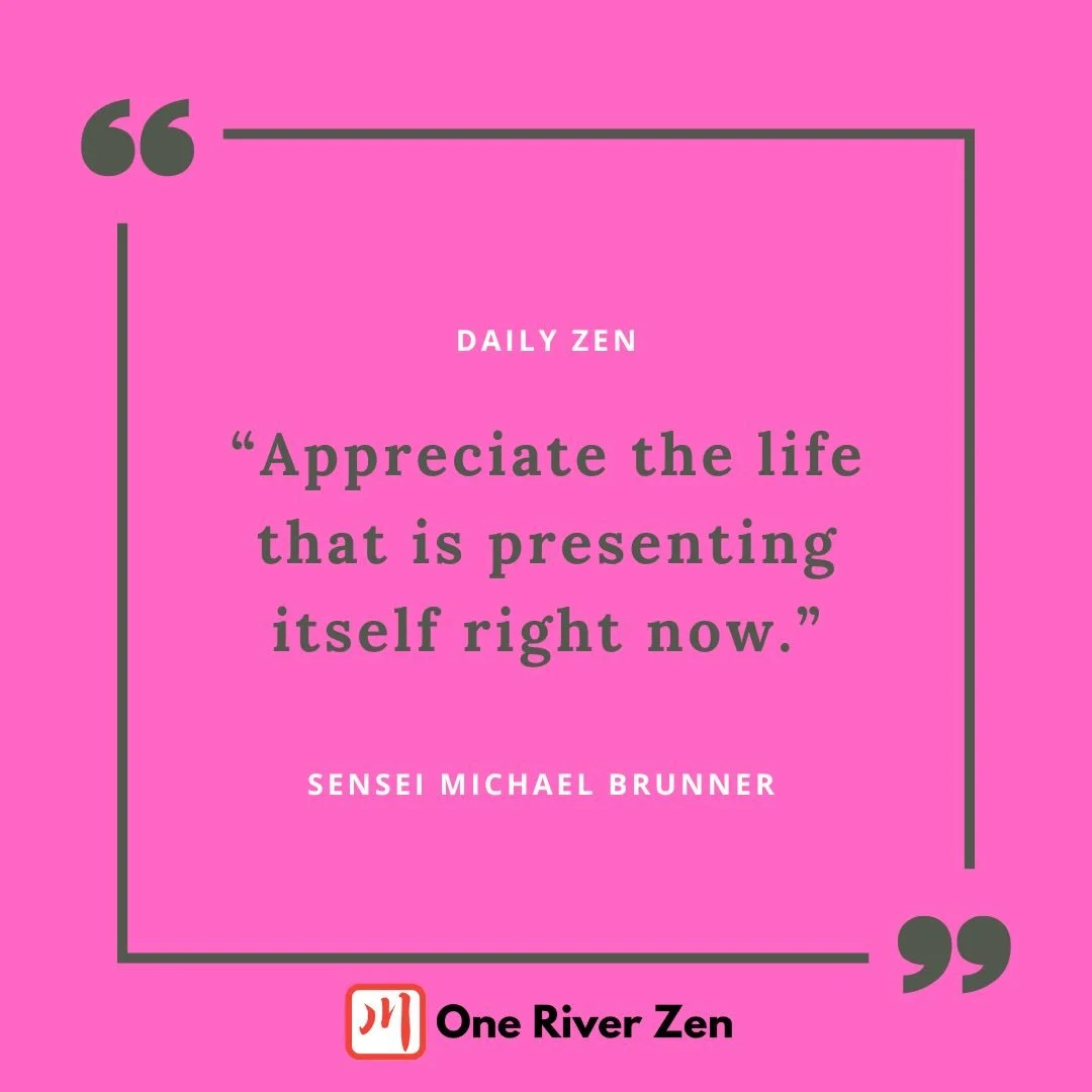 APPRECIATE THE LIFE THAT IS PRESENTING ITSELF RIGHT NOW

I&rsquo;ve said this many times before, but ultimately this practice isn&rsquo;t something separate. This practice is the very practice of our own life. Zen mastery is the mastery of our own ci