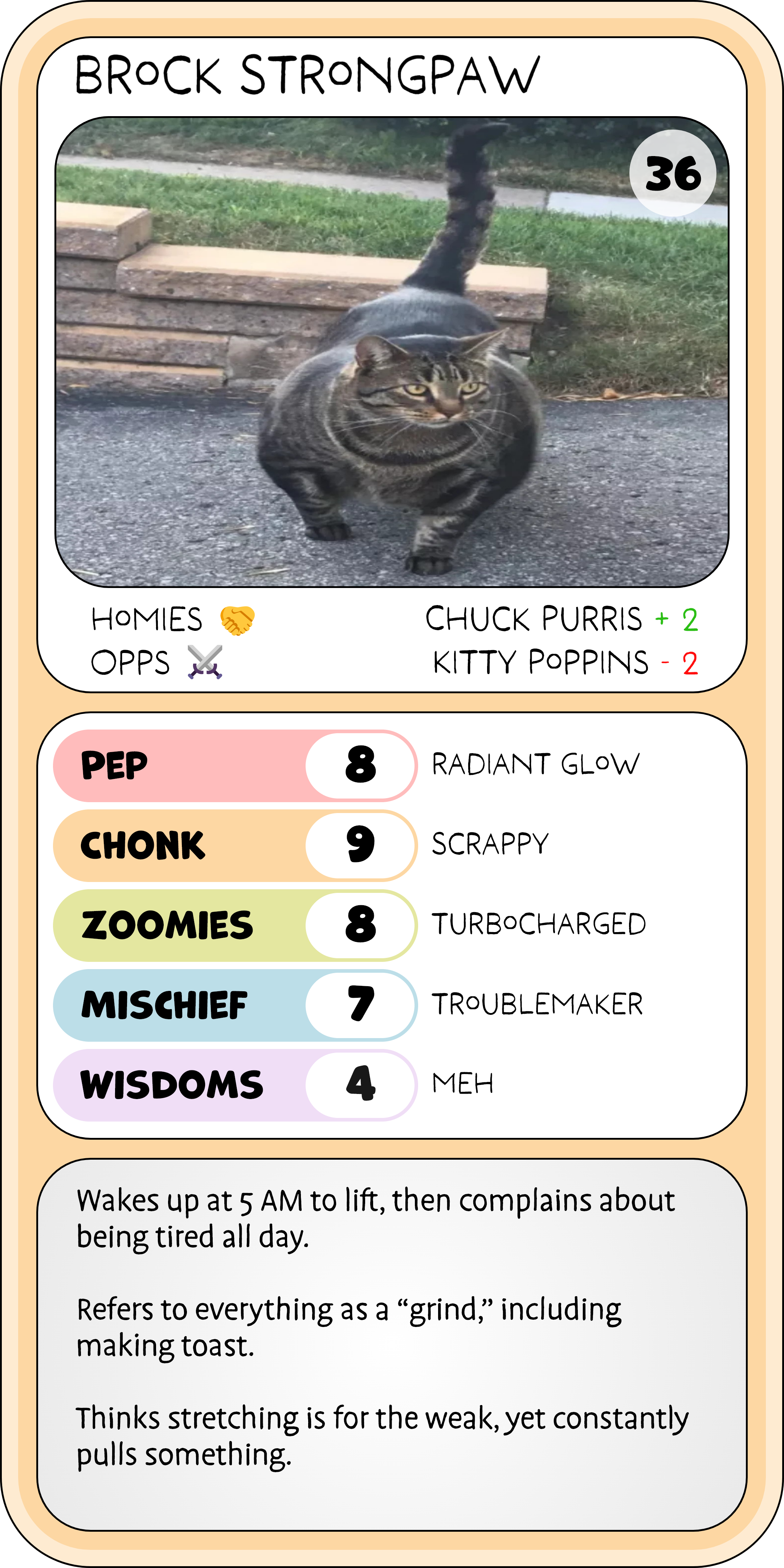 BATTLE KITTEN – 43.png