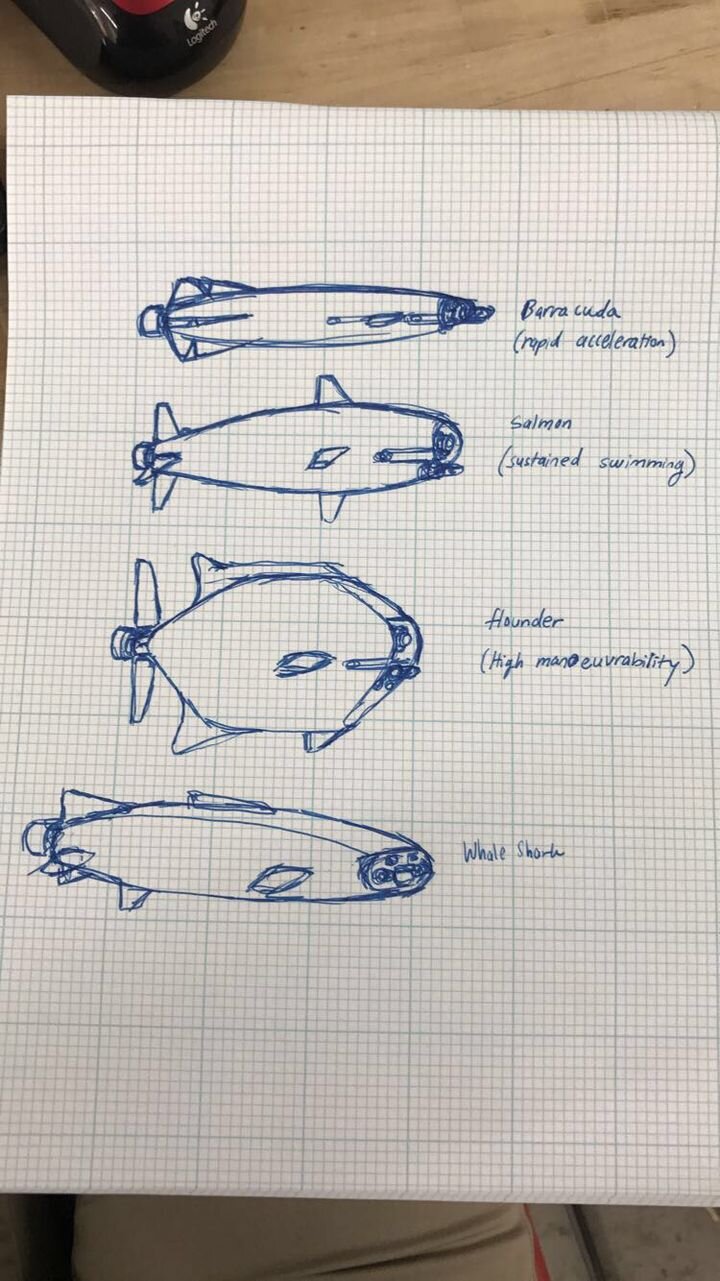 image_preview (4).jpeg