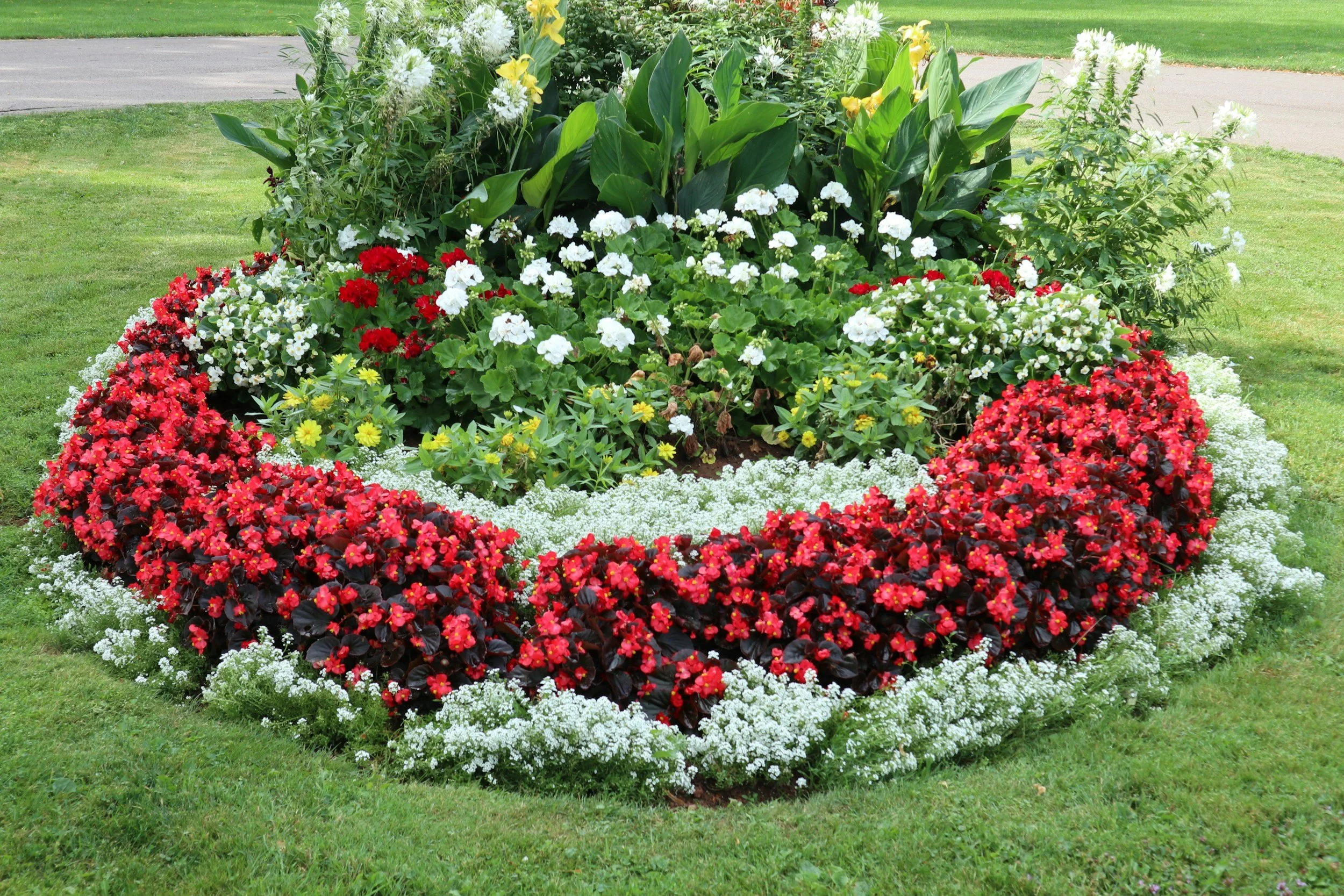 Colorful flower garden with red, white, yellow, and green plants in a circular pattern on a lawn.