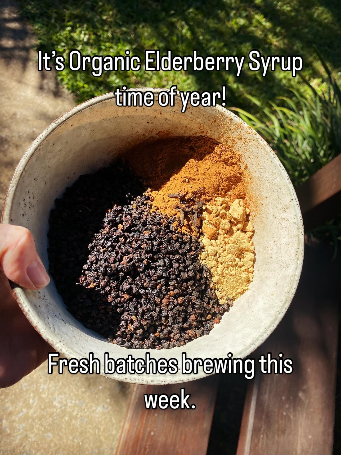 I&rsquo;m brewing a fresh batch today. Who&rsquo;d like a bottle? #elderberrysyrup #coldandfluseason #coughsandcolds #kidsimmunity #immunesupport❤️ #deliciousherbs