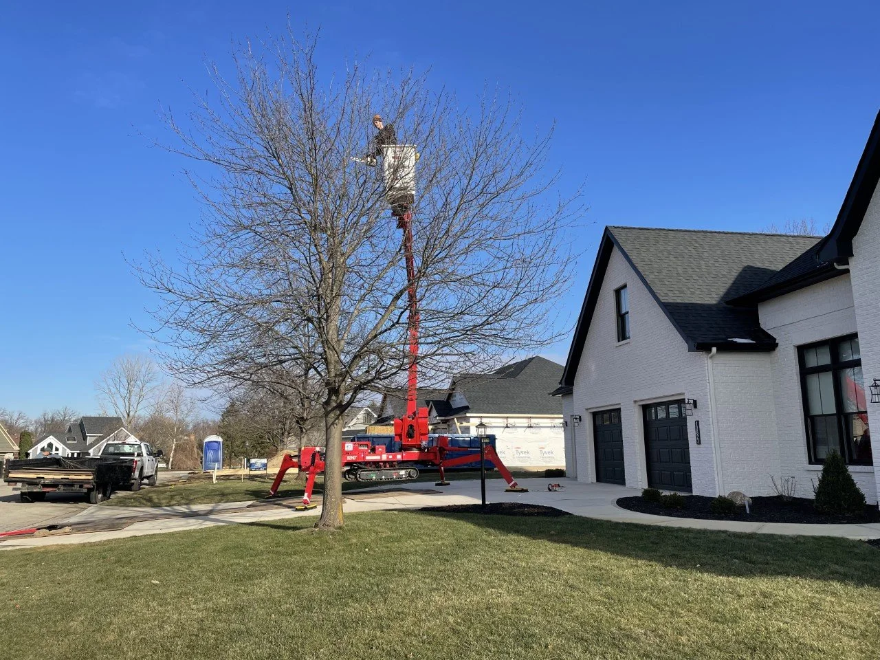 TREE REMOVAL & TRIMMING IN FORT WAYNE