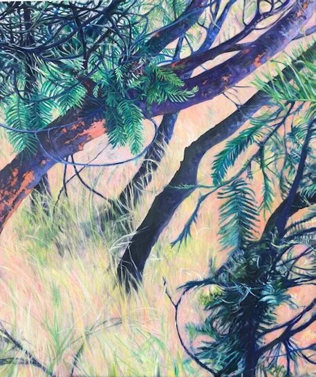 Acacia Copse I, Pinnacle Reserve, A.C.T.