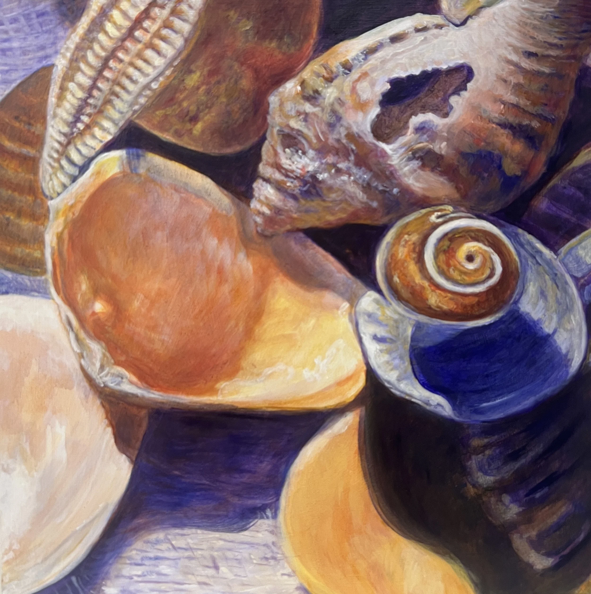 Still Life with Shells no 1