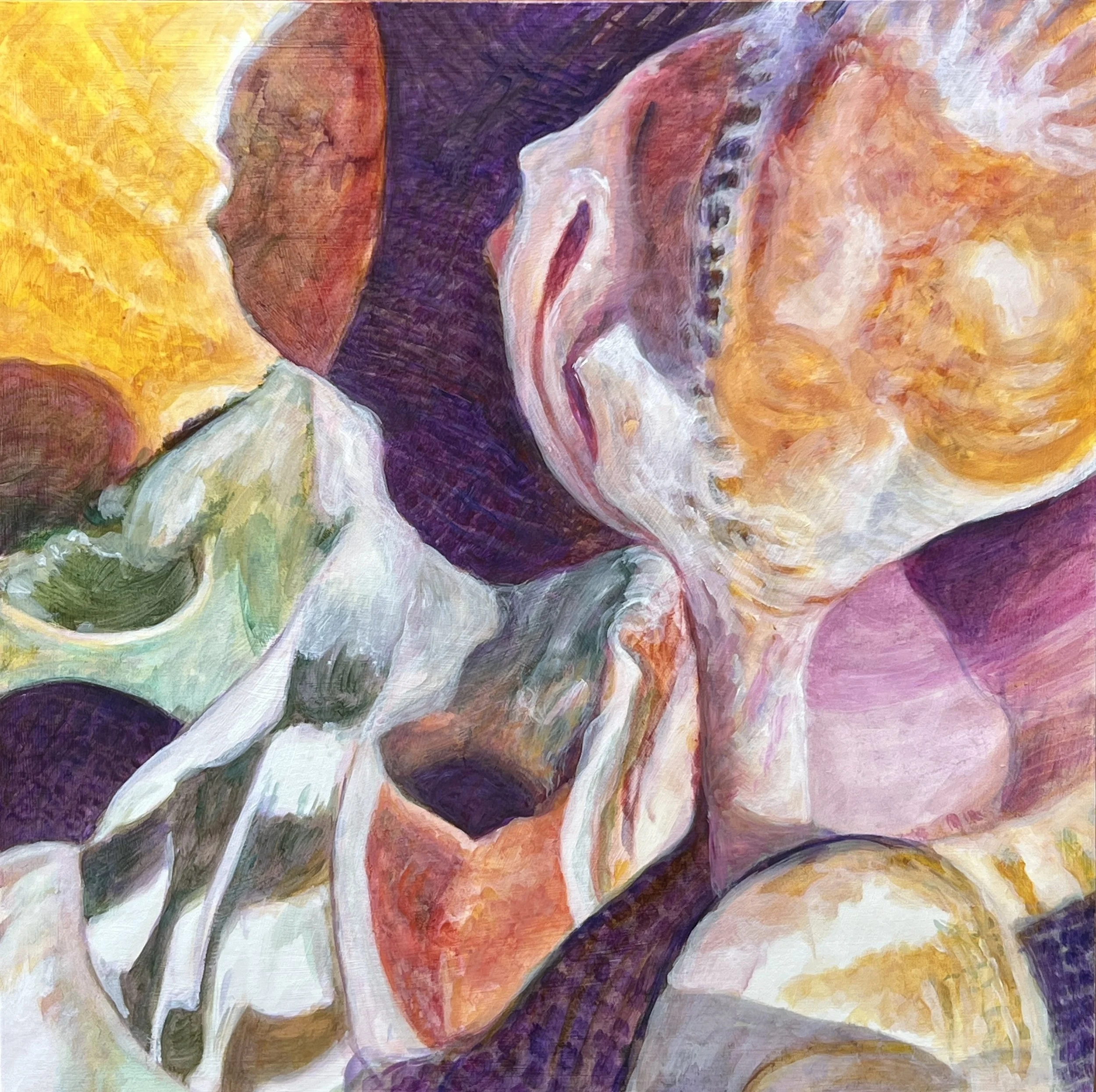 Still Life with Shells no 2