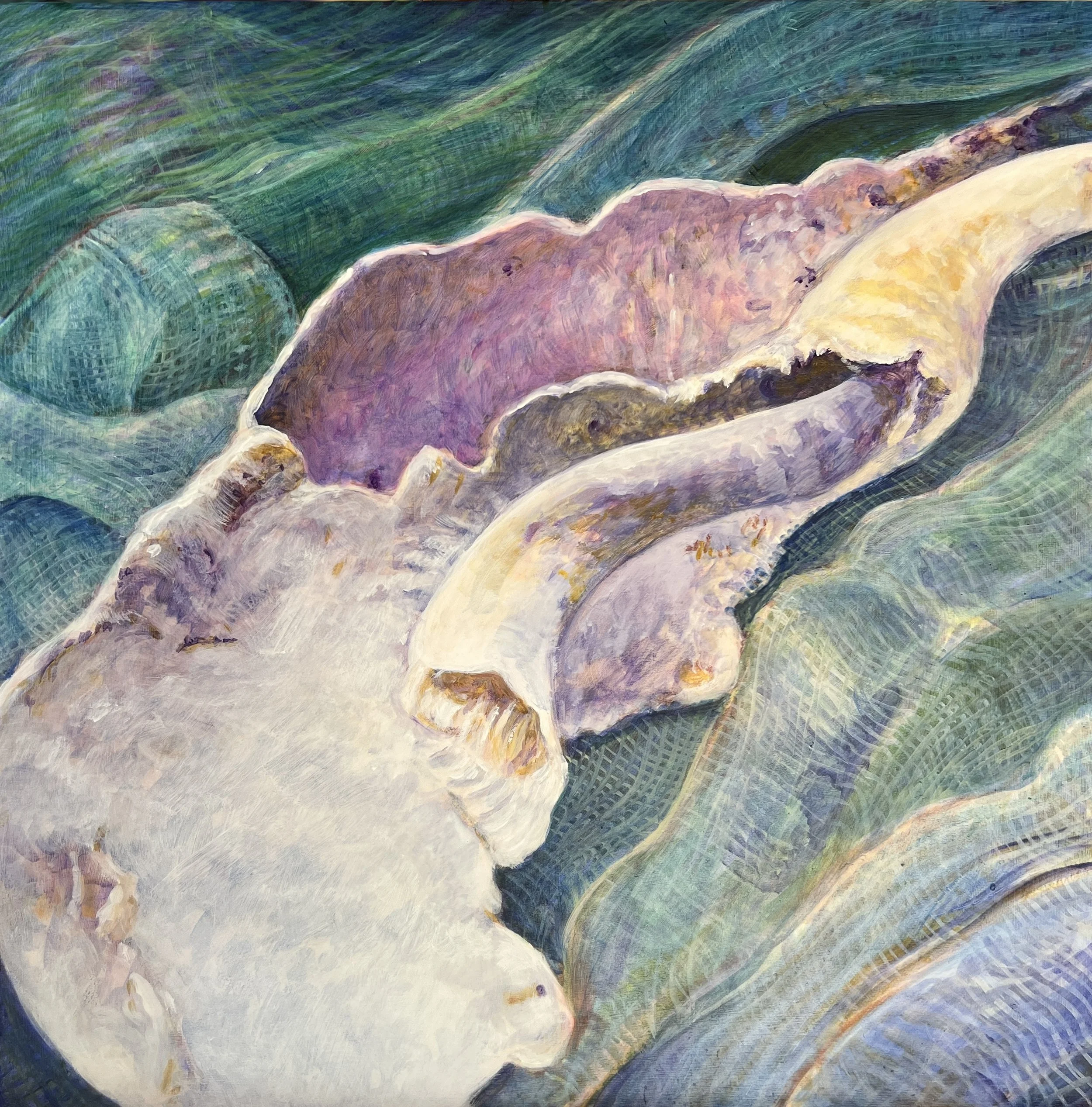 Still Life with Shells no 3