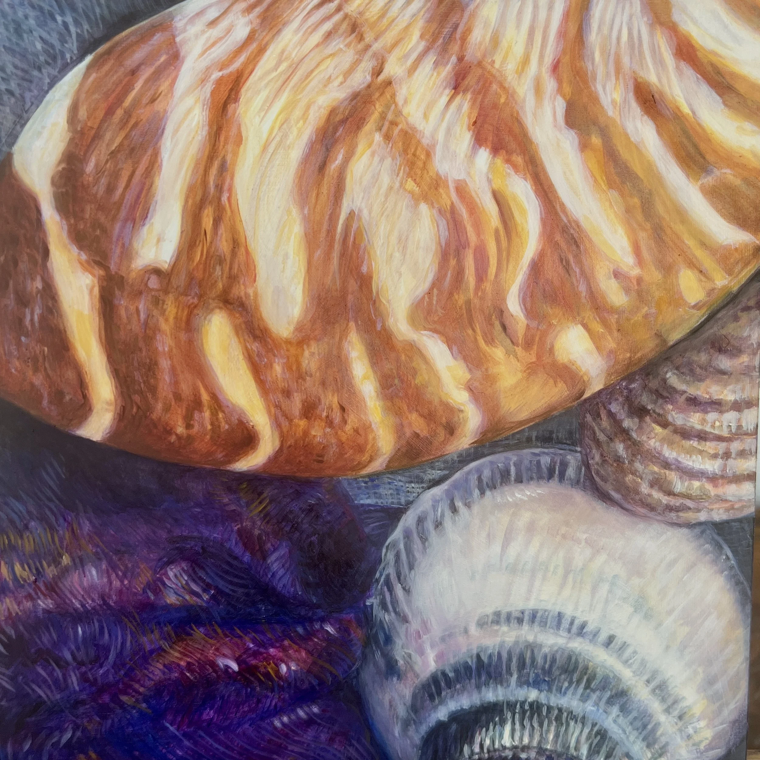 Still Life with Shells no 4