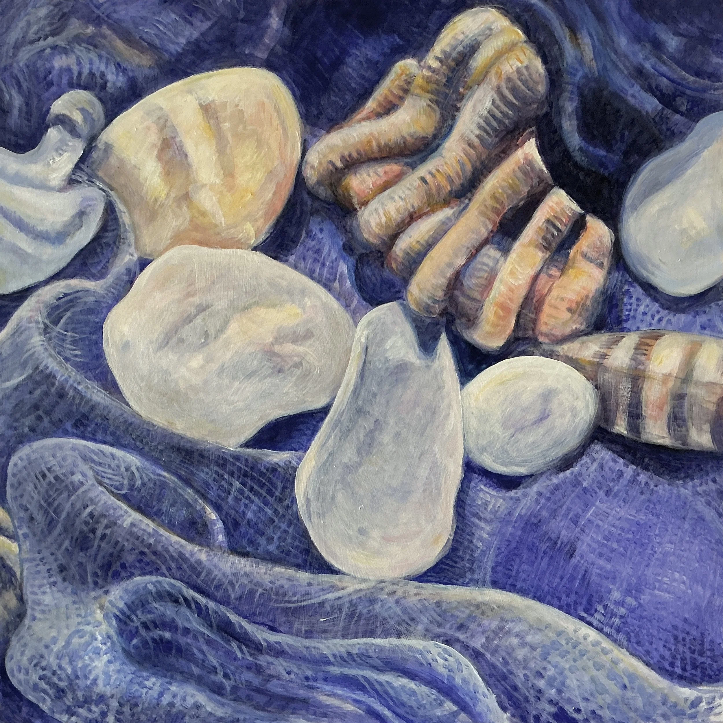 Still Life With Shells & Stones