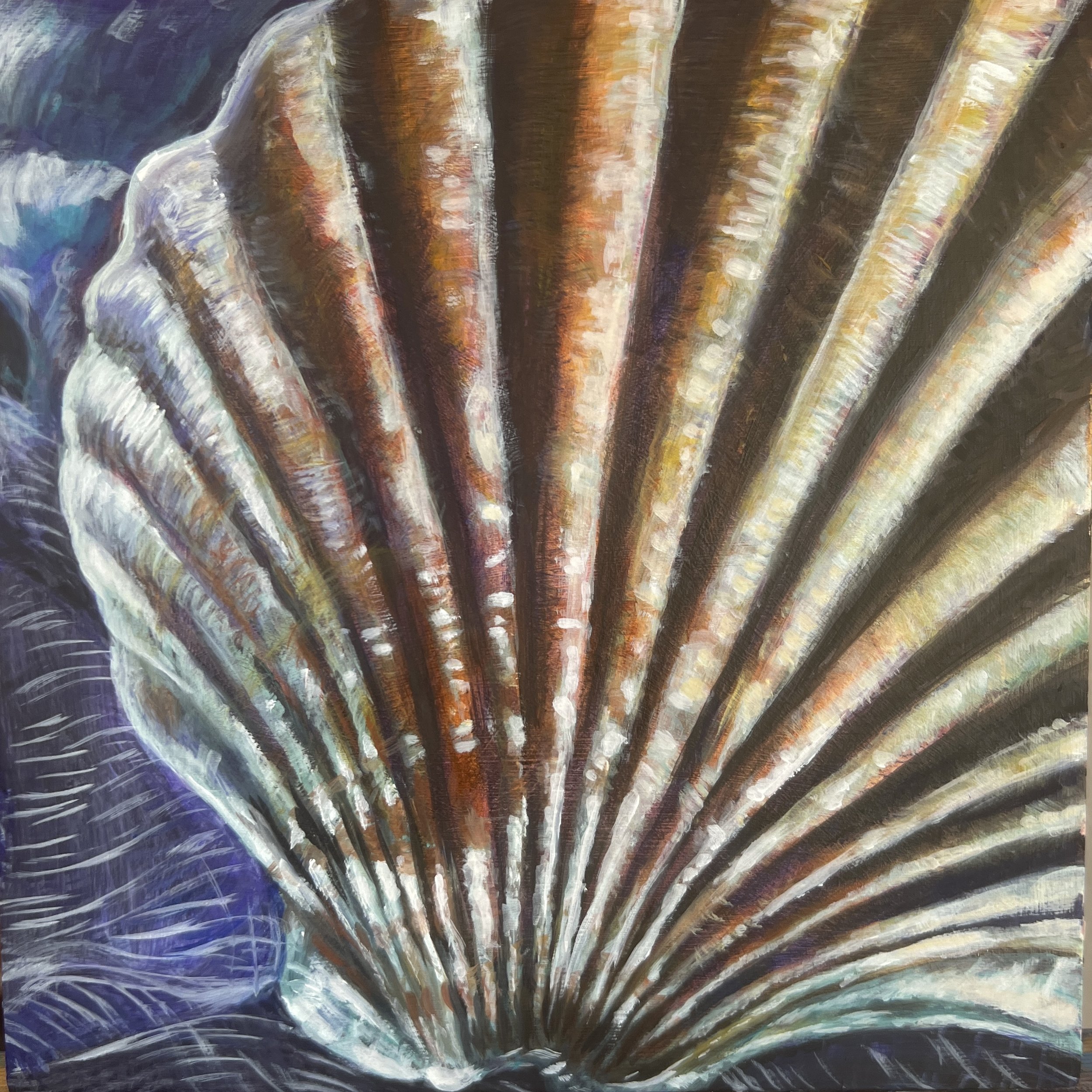 Scallop Shell