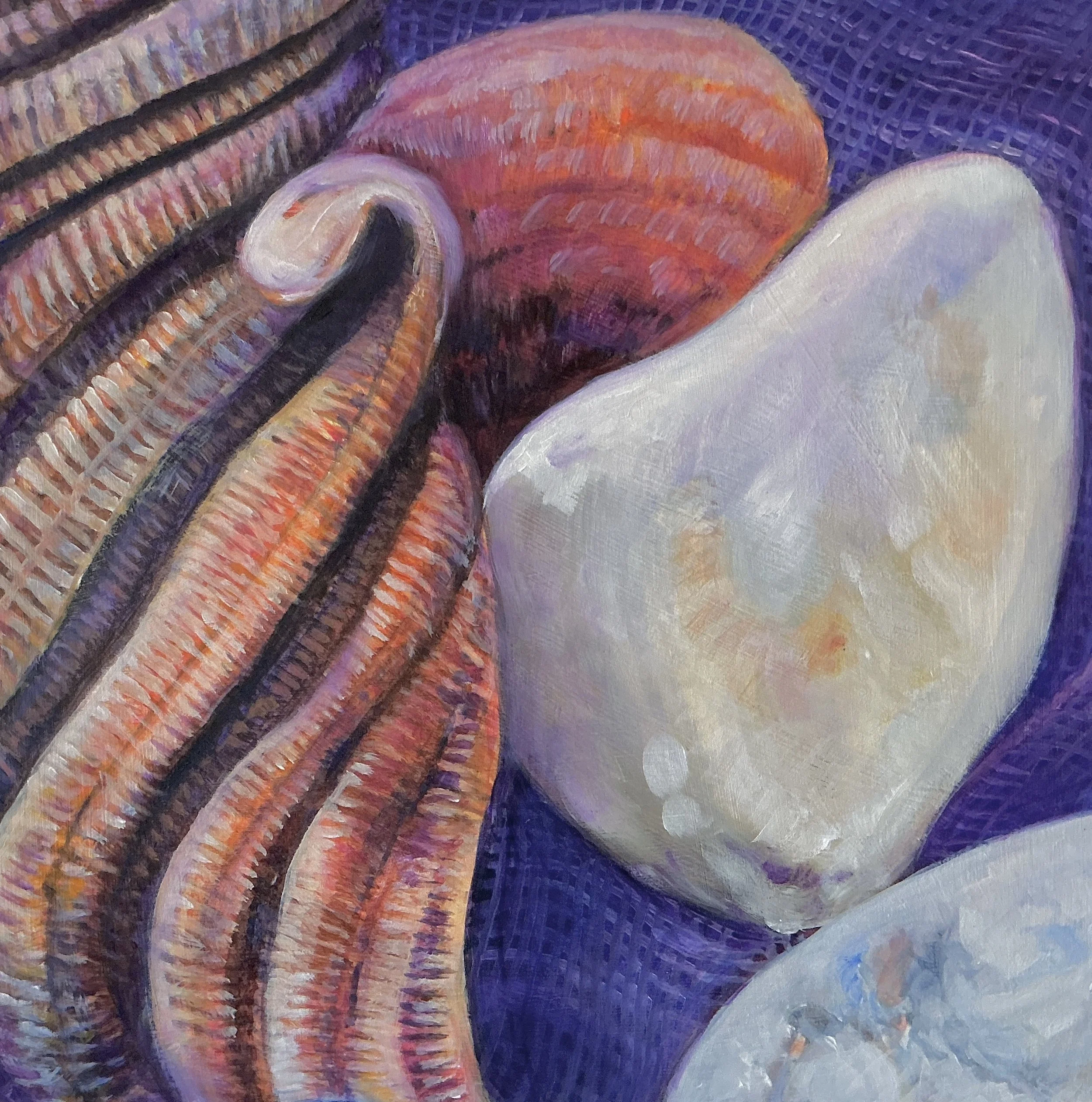 Shells and Stones